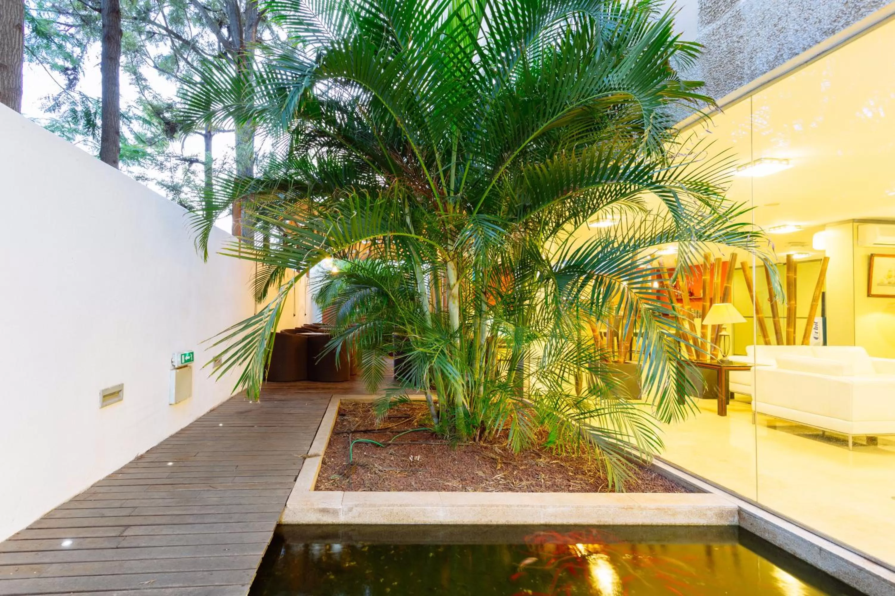 Facade/entrance in Hotel Colon Rambla