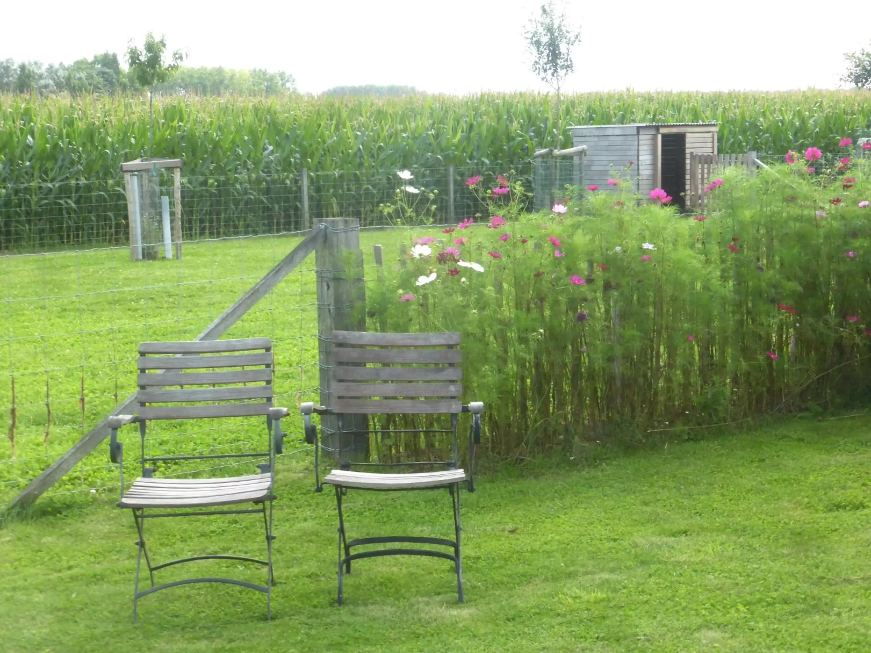 Family Room with Shower - single occupancy in De Zevende Zon Family Room with Shower - single occupancy in De Zevende Zon