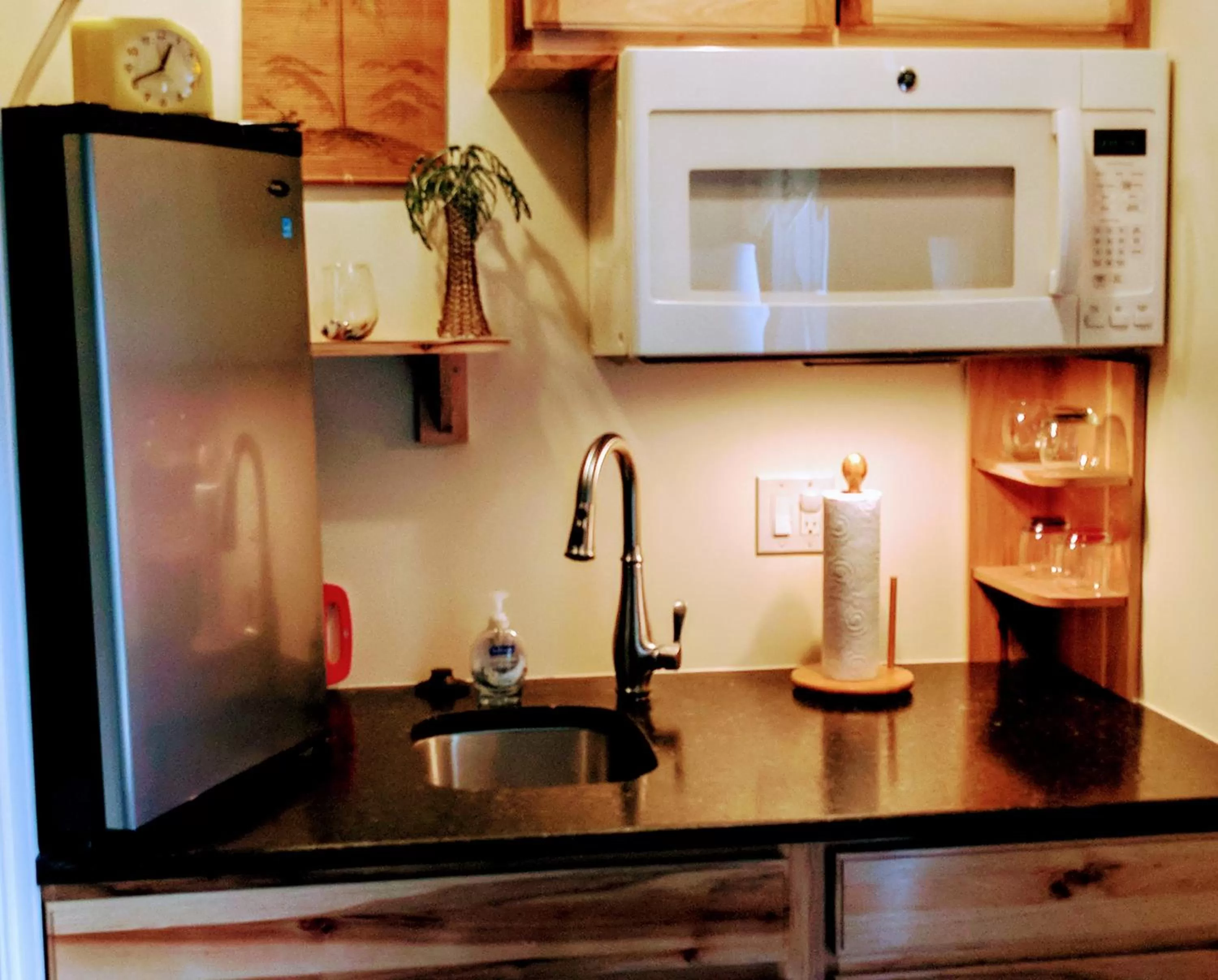 Ann Arbor Bed and Breakfast