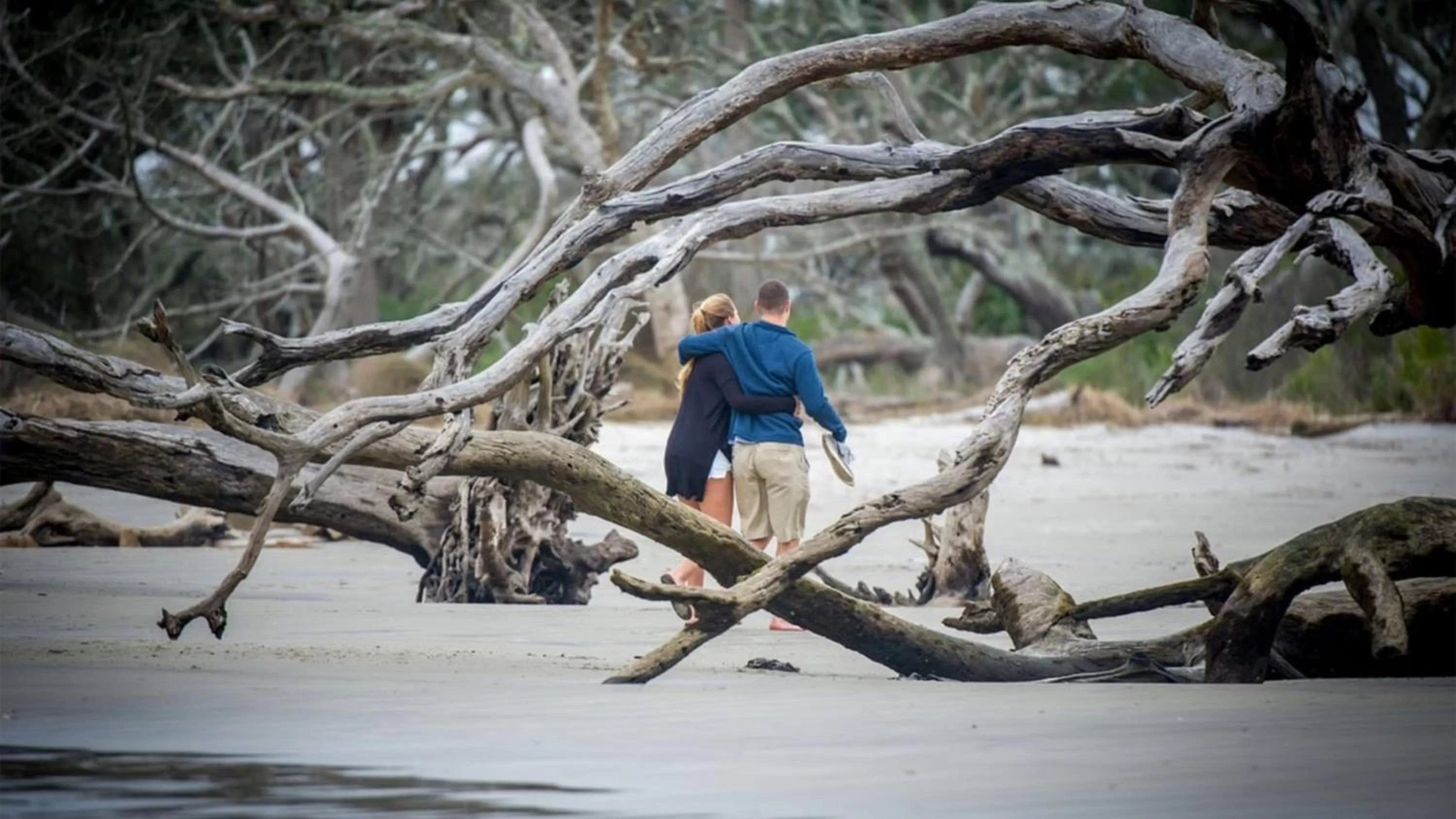 Area and facilities in Holiday Inn Resort Jekyll Island by IHG