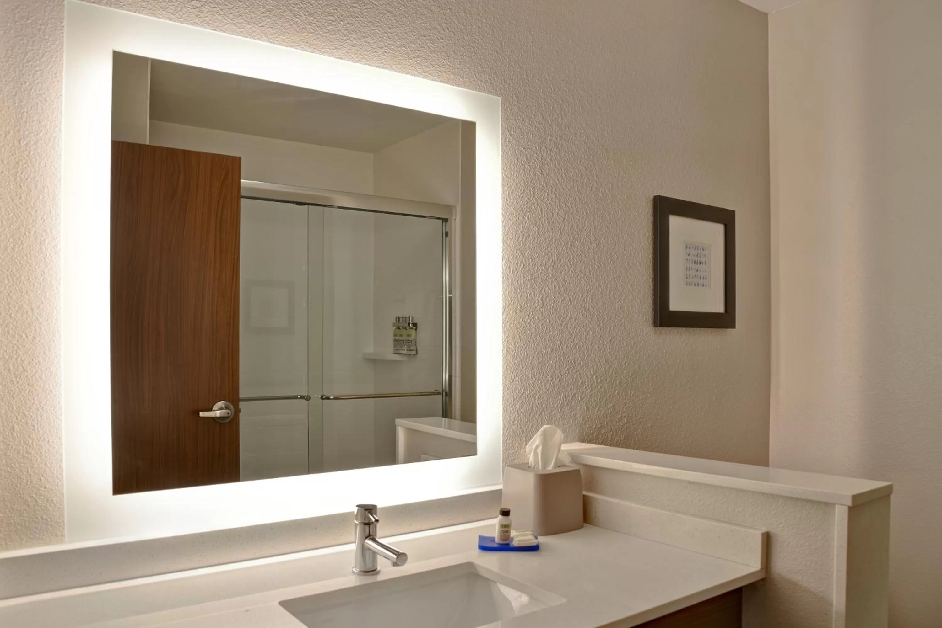 Bathroom in Holiday Inn Express & Suites - Ottawa by IHG