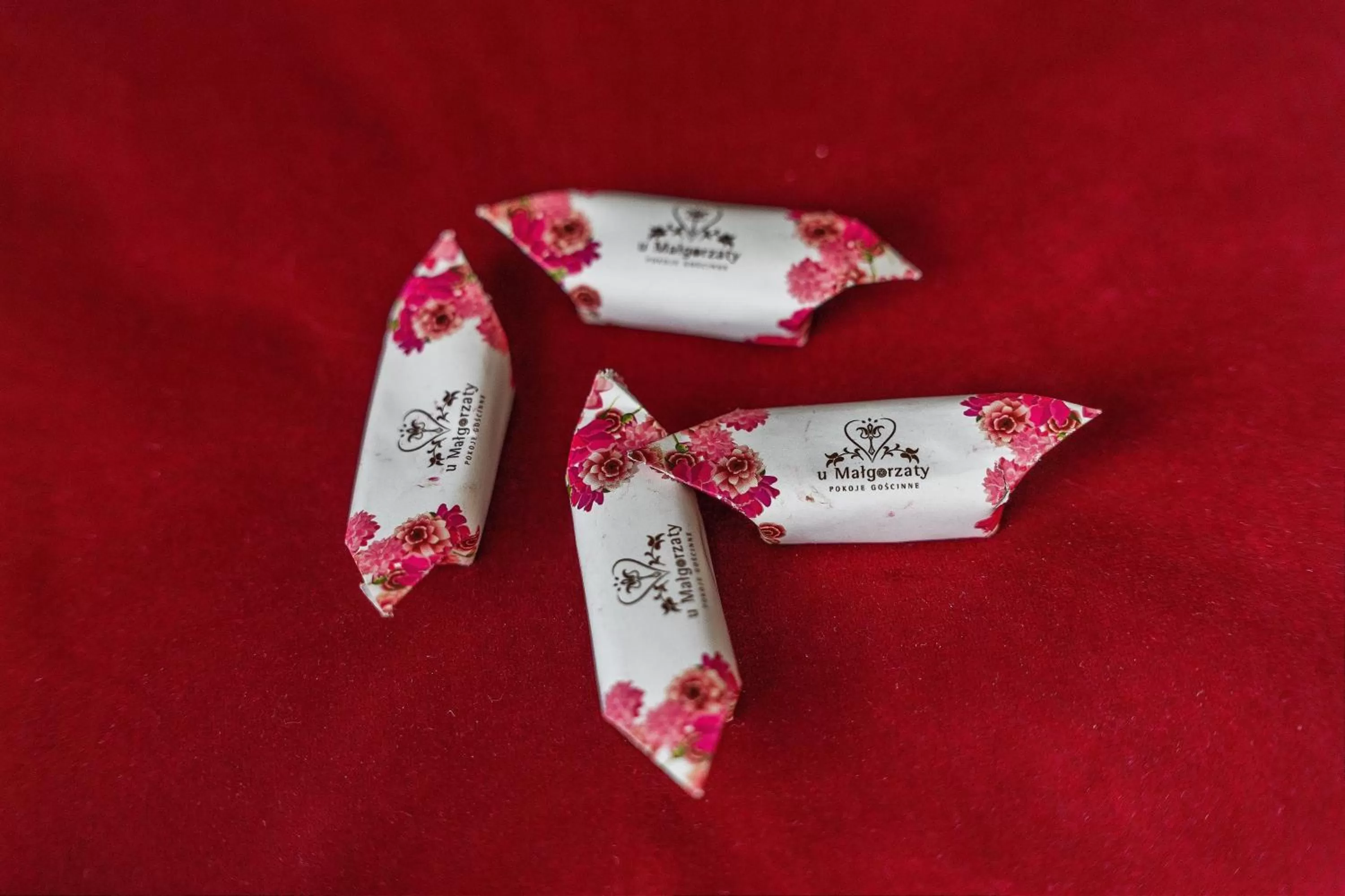 Decorative detail in Pokoje Gościnne U Małgorzaty Jacuzzi & Sauna