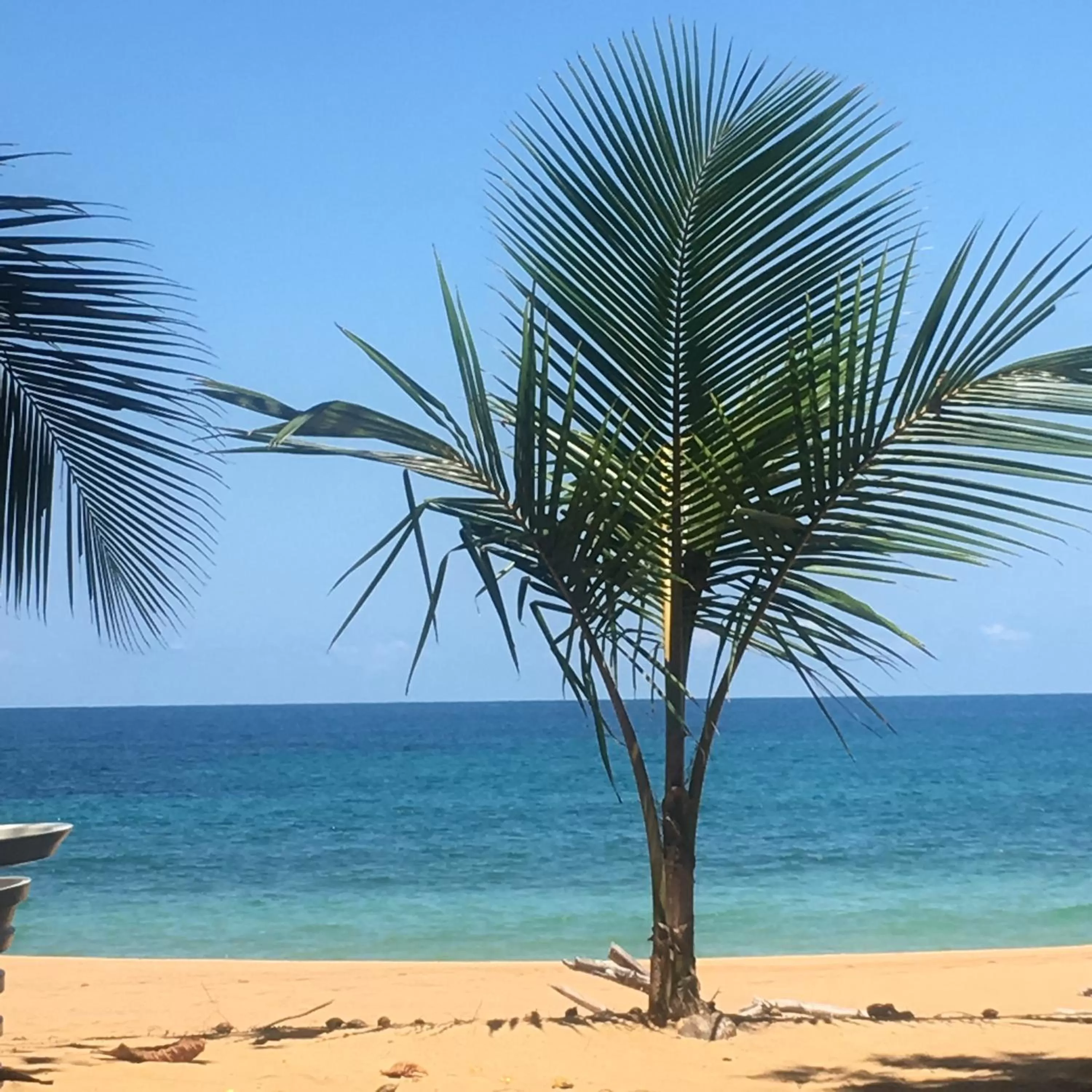 Beach in Turtle Beach House