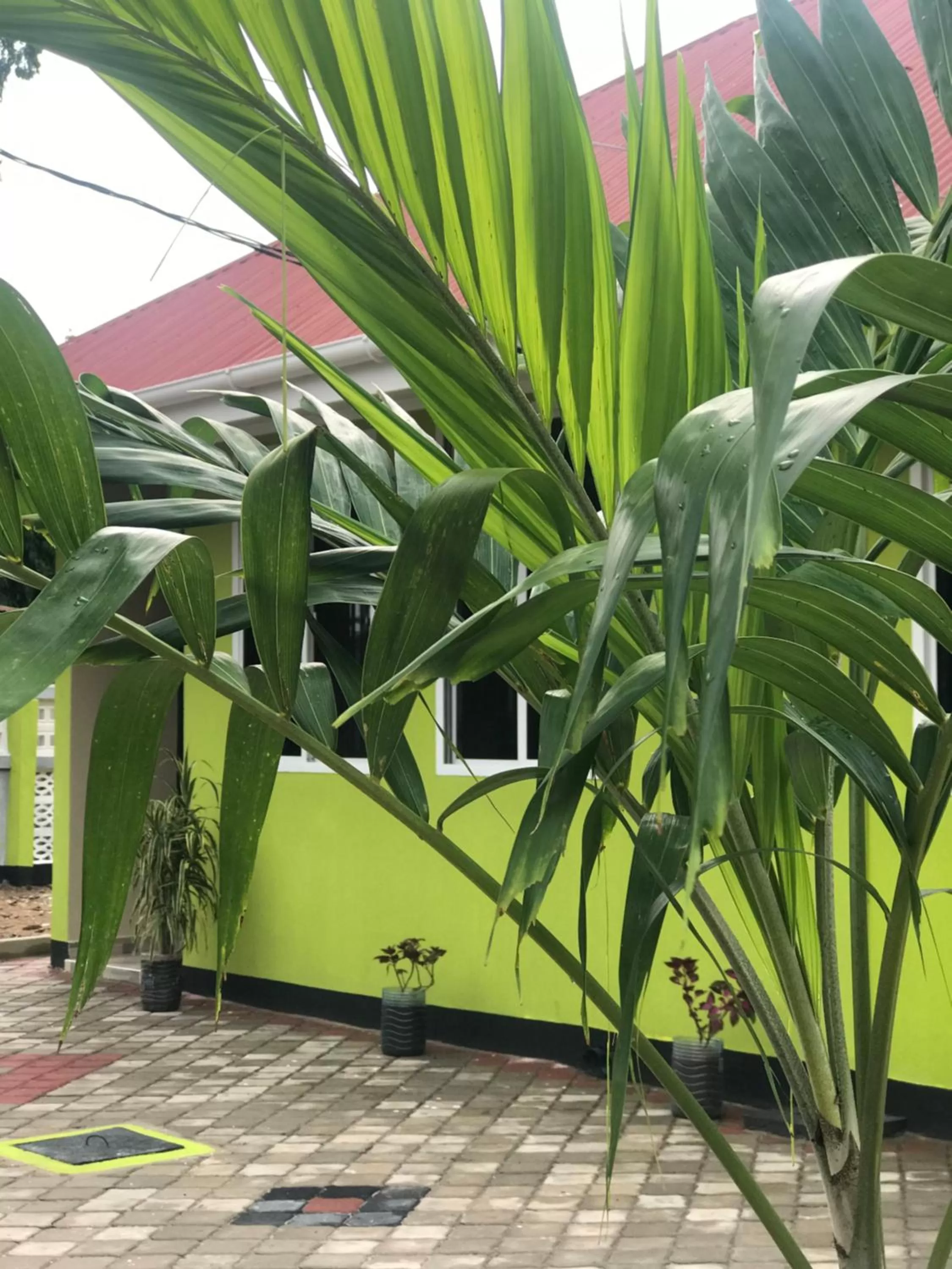 L&J Modern Backpackers Kinondoni