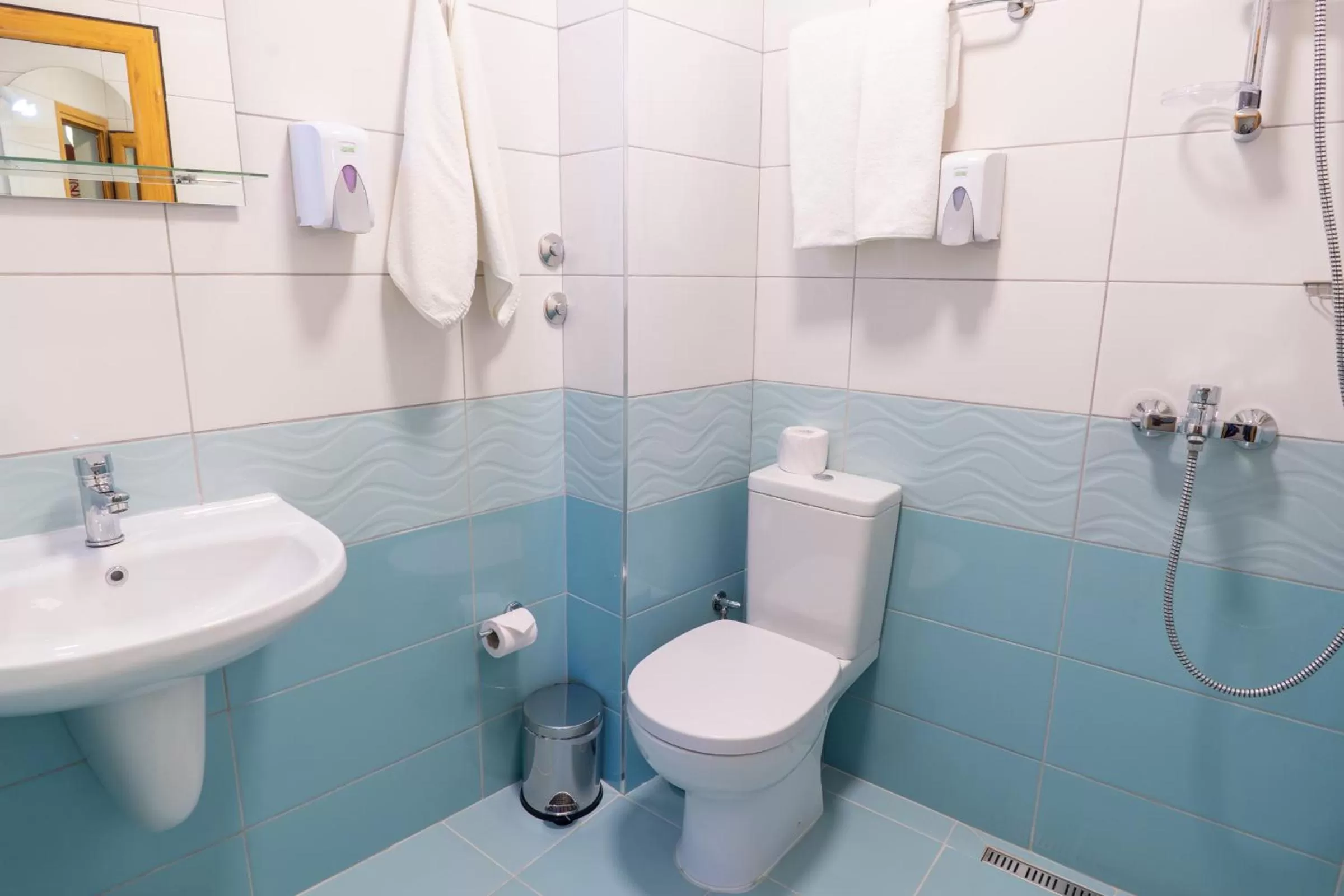 Shower in Hotel Color