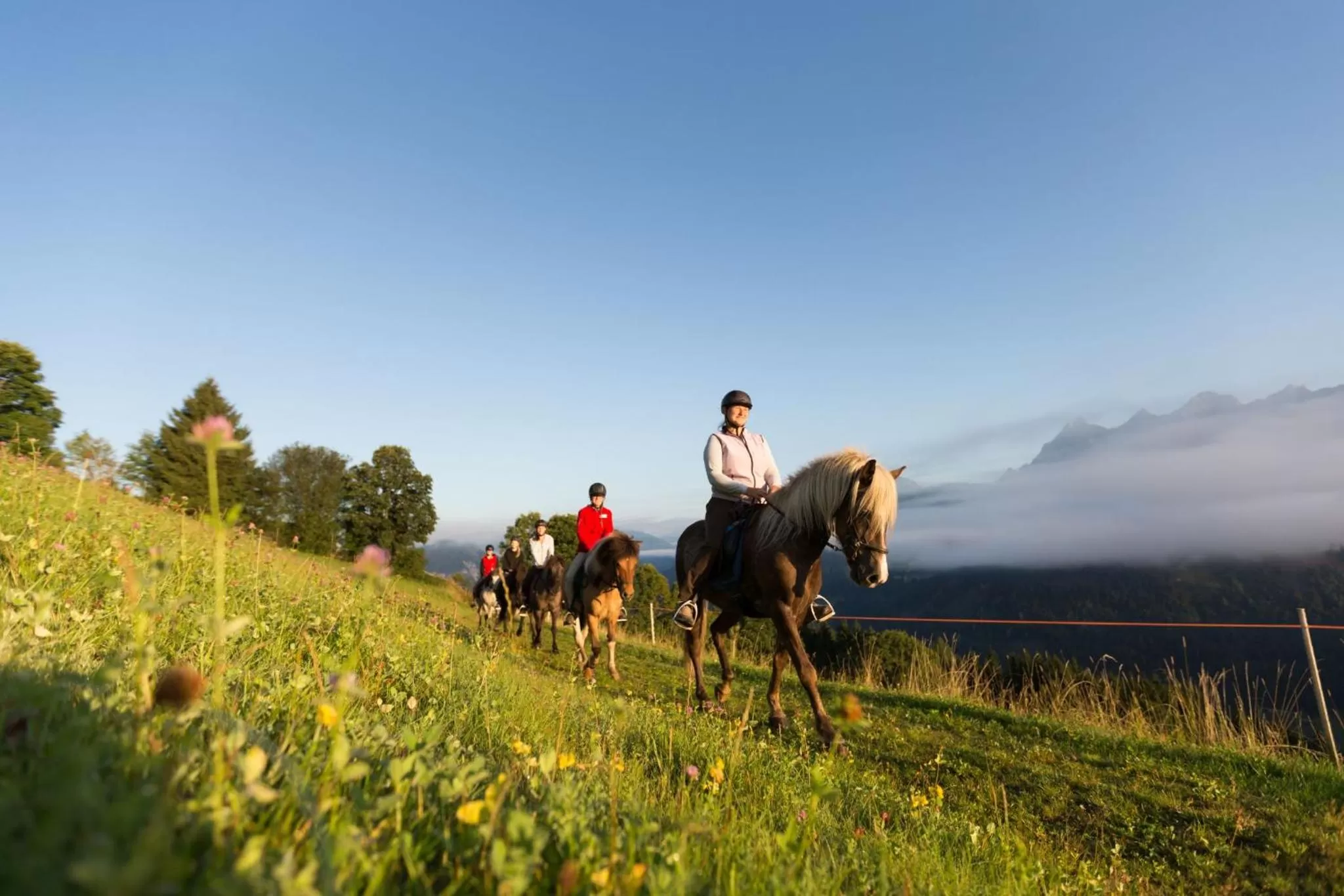 Horse-riding, Horseback Riding in Seiterhof