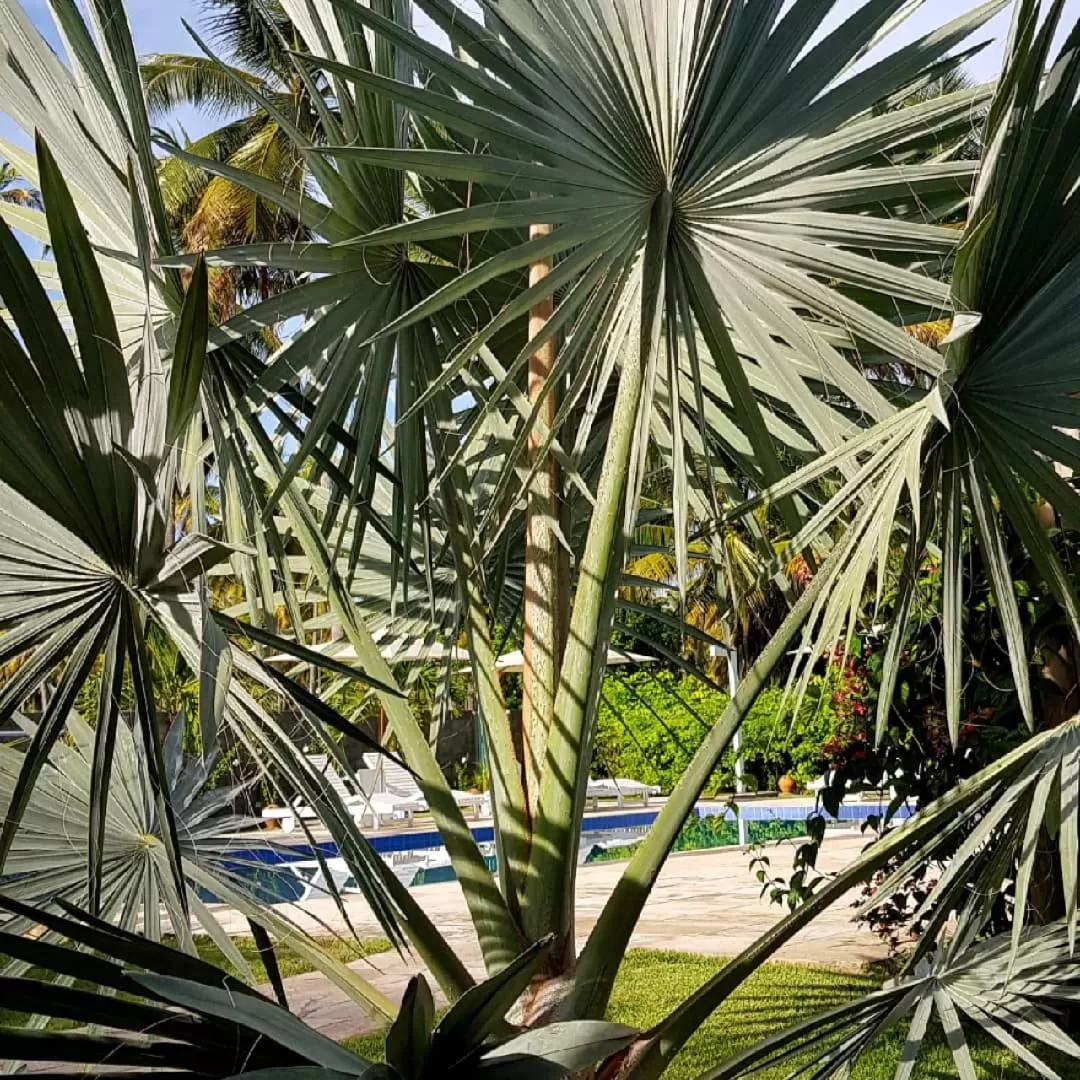 Pool view, Swimming Pool in Pousada Villages Boutique Hotel
