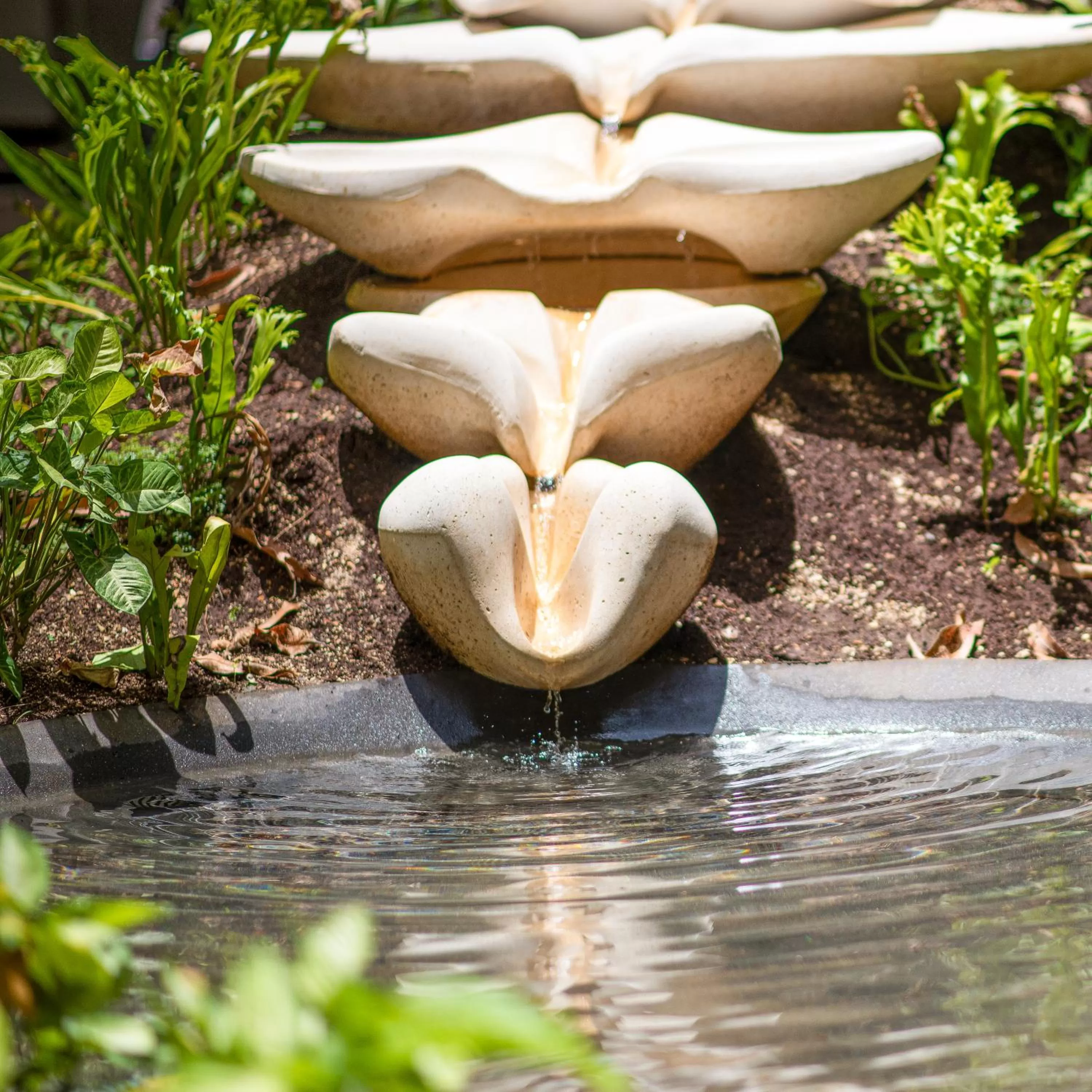 Other in Wayam Mundo Imperial