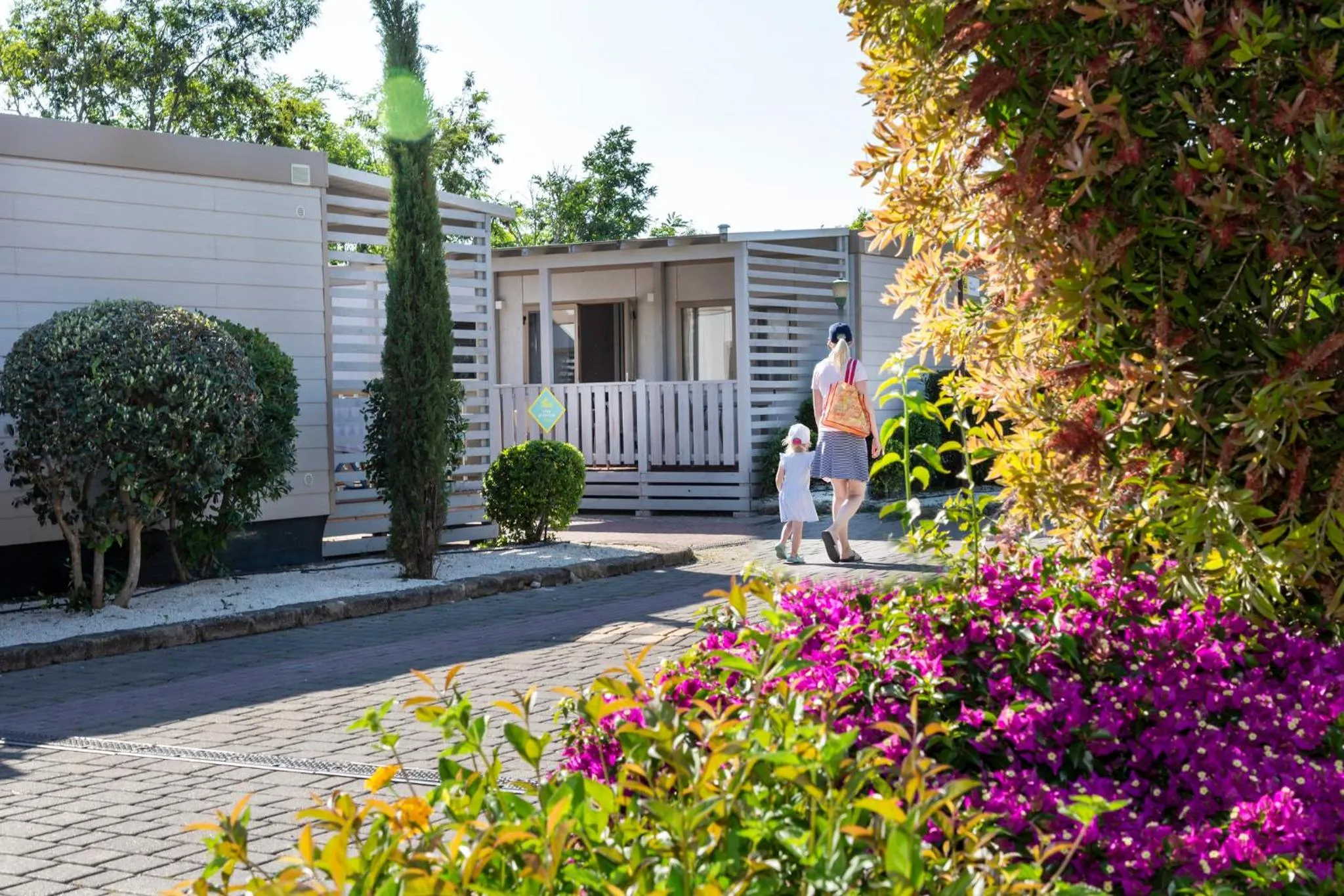 Property building in hu Roma Camping In Town