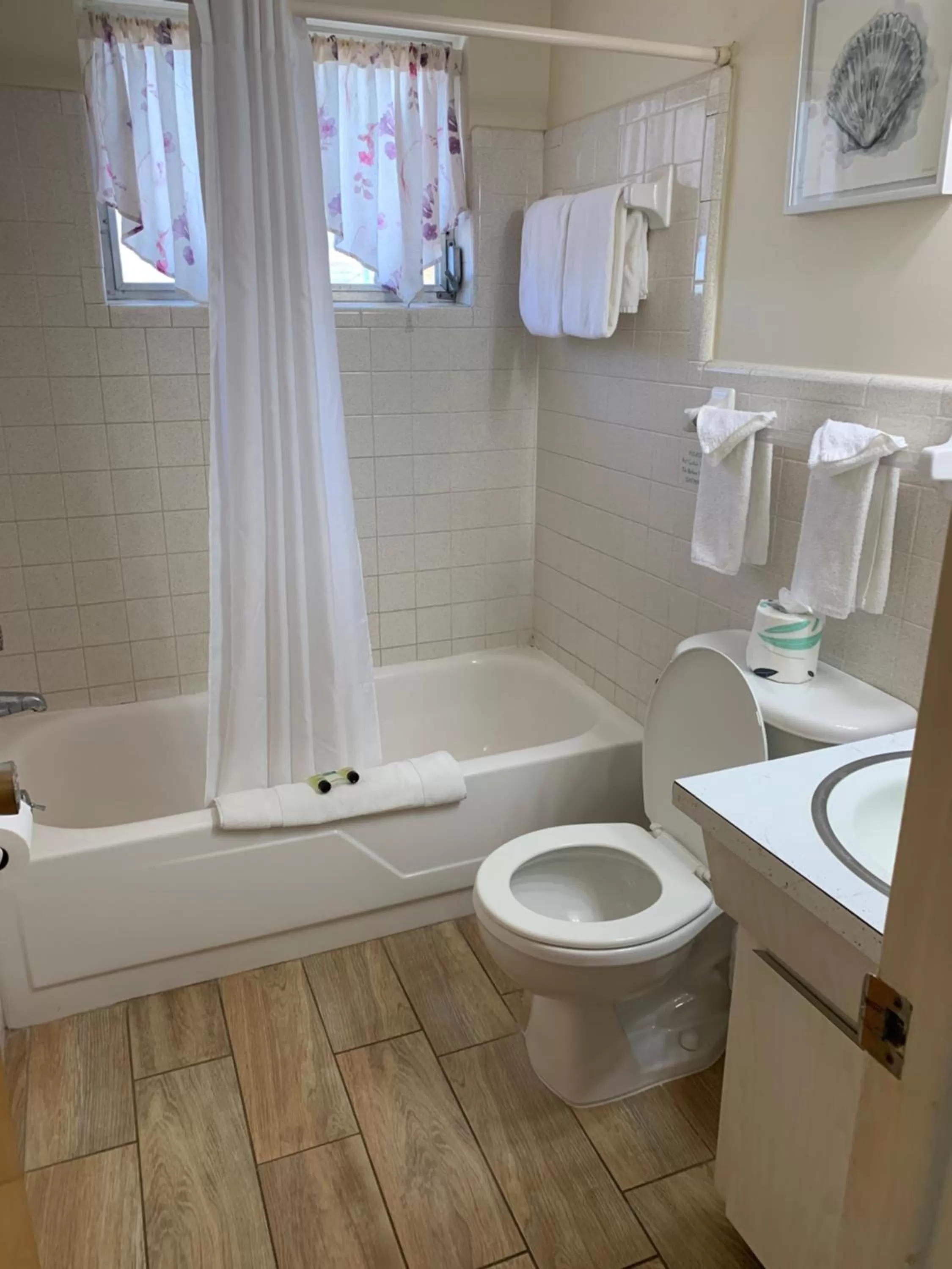 The Molloy - A Boutique Beach Resort