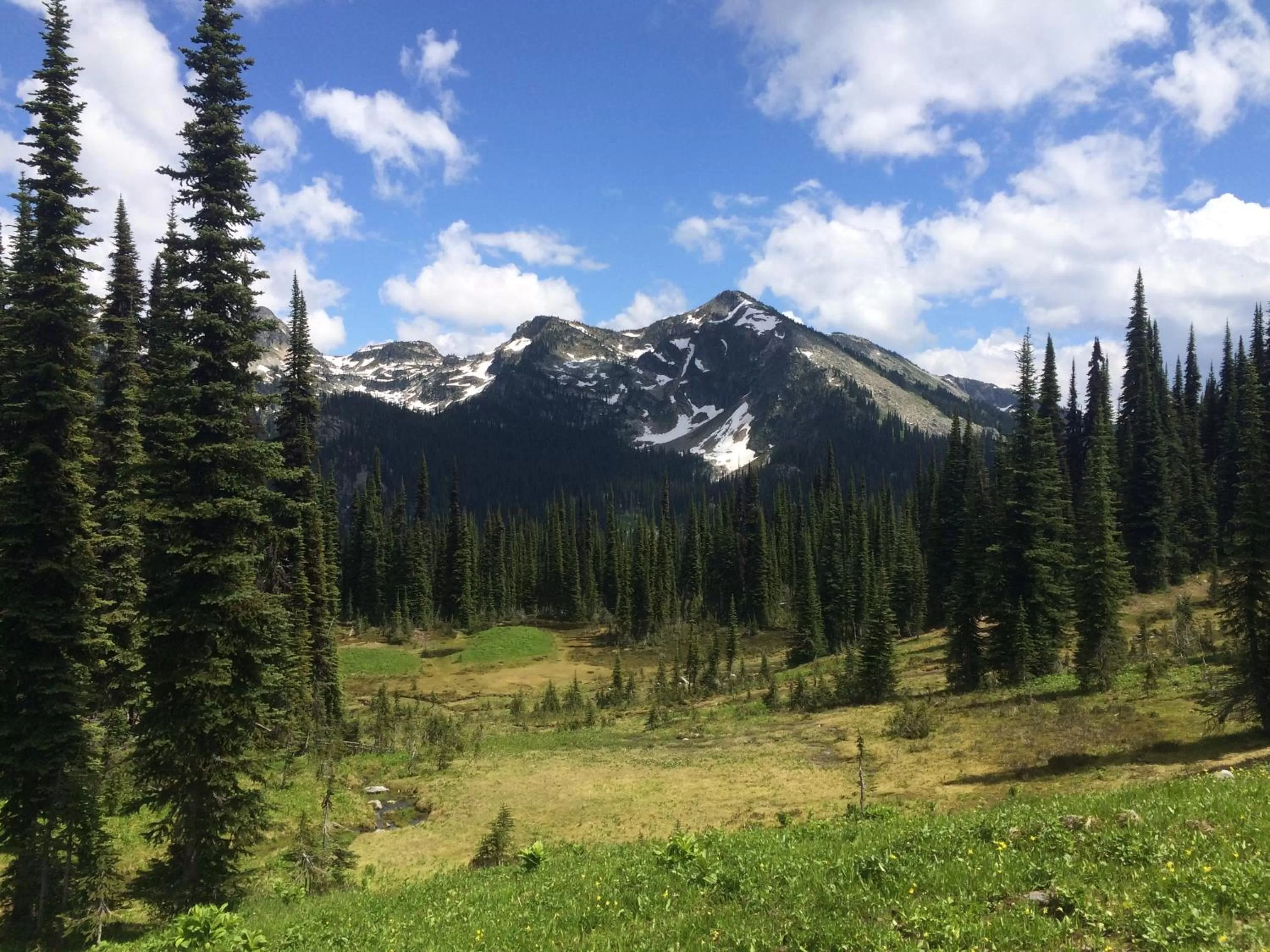 Hiking in Alpenrose Revelstoke Bed & Breakfast