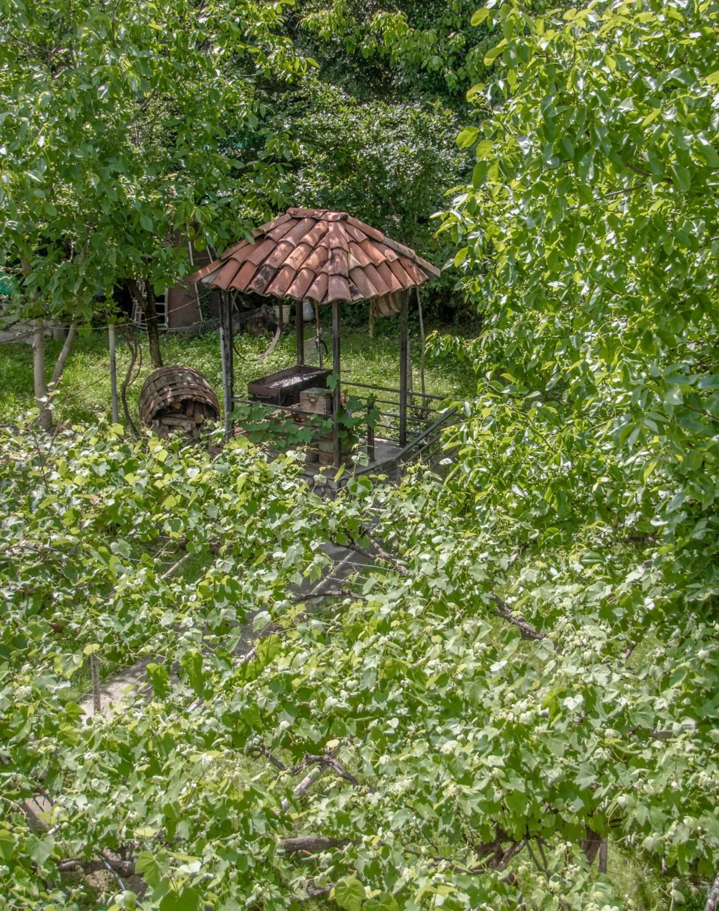 Day, Other Animals in Qilimcha's Guesthouse