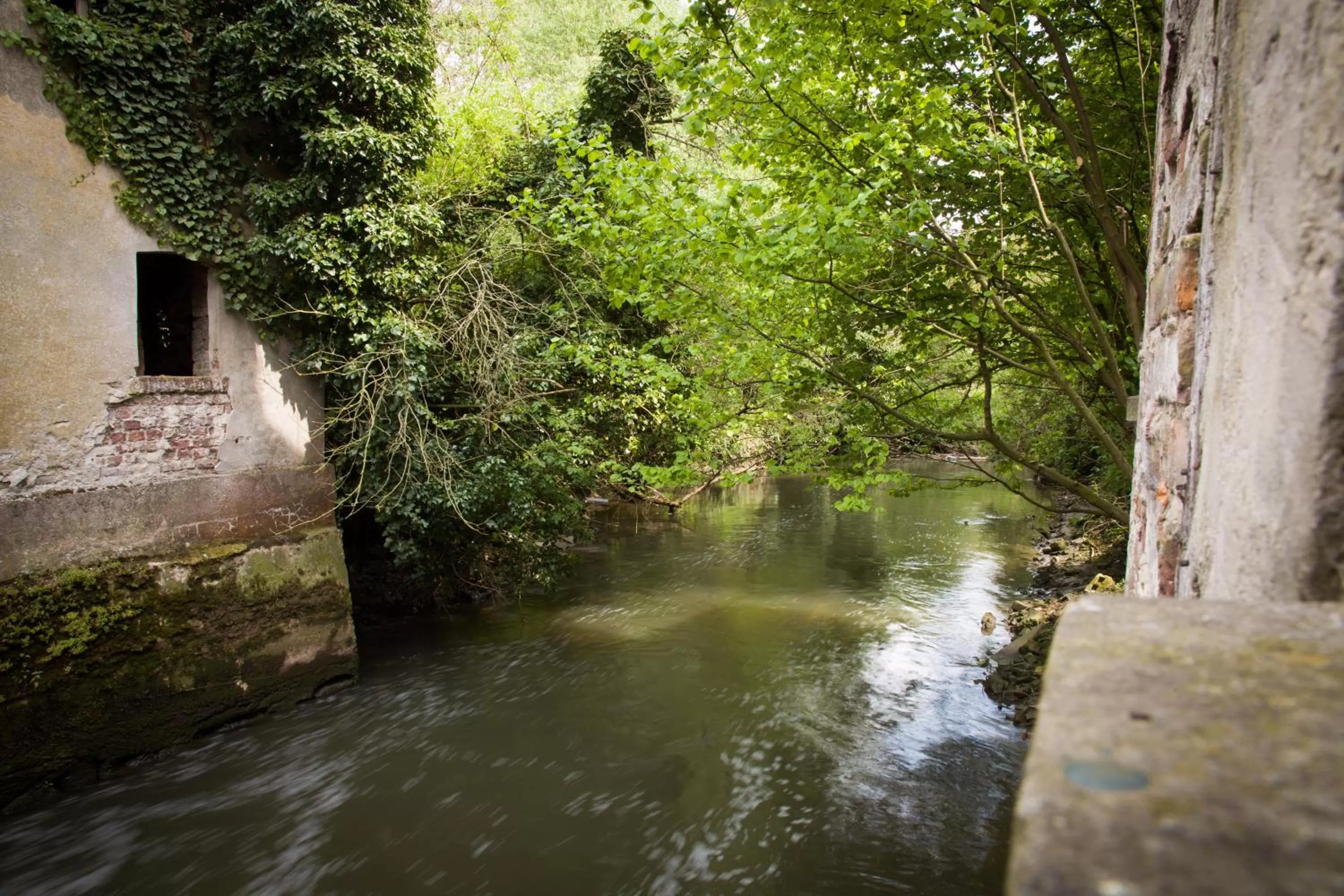 Natural landscape in B&B De Dubbelmolen