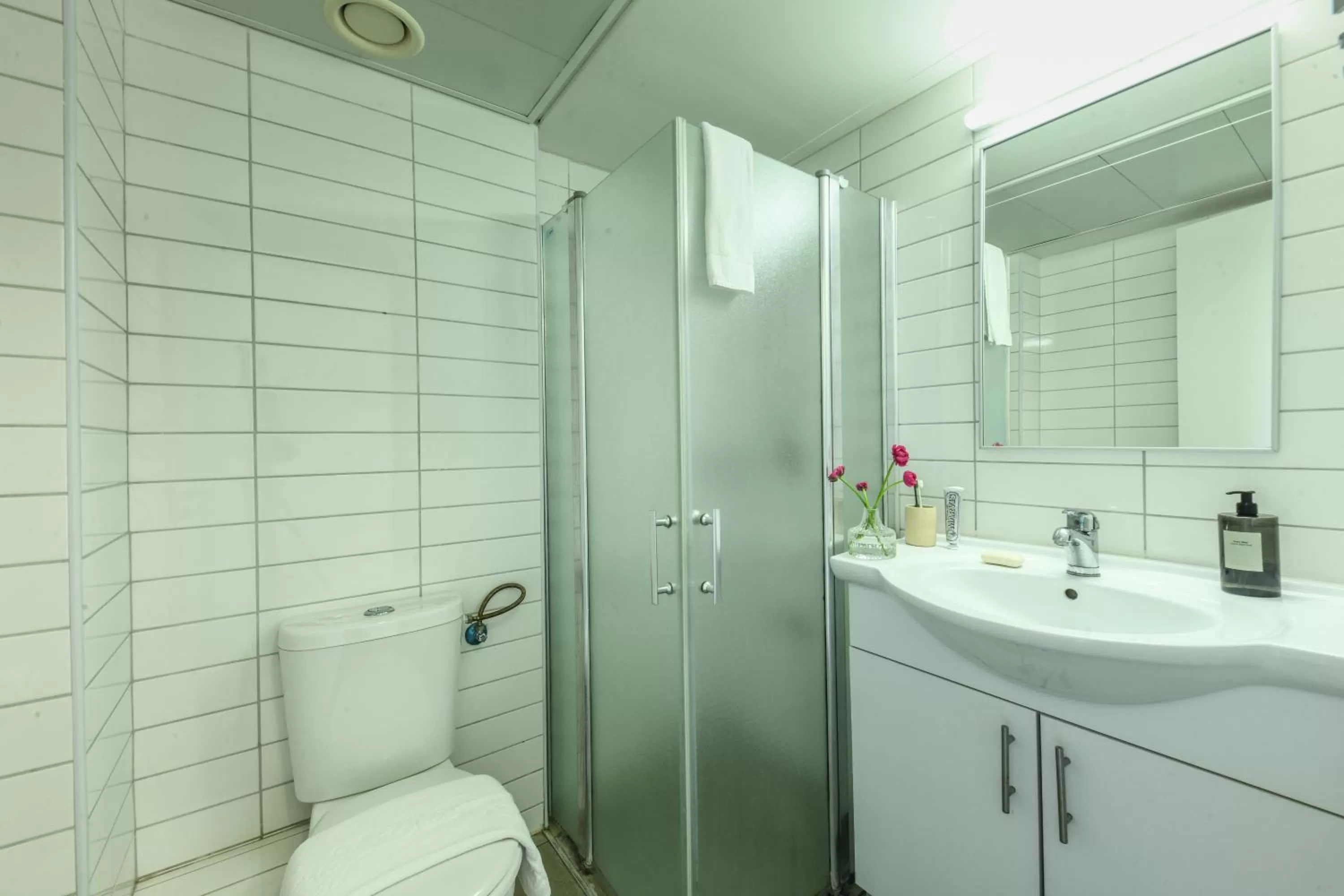Shower in דירות גני תערוכה - TLV university apartments near Expo by Sea N' Rent