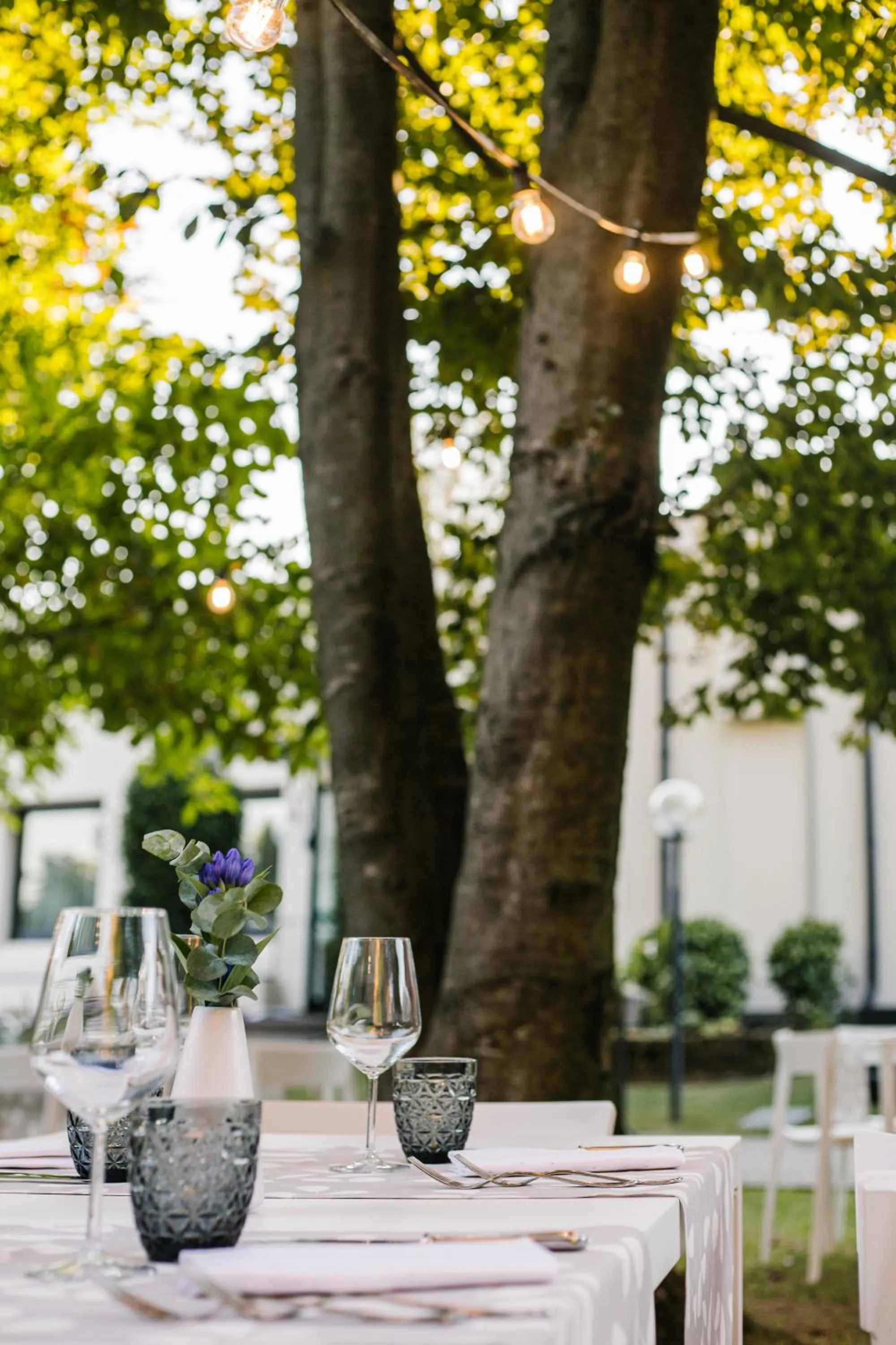 Albergo Ristorante Belvedere