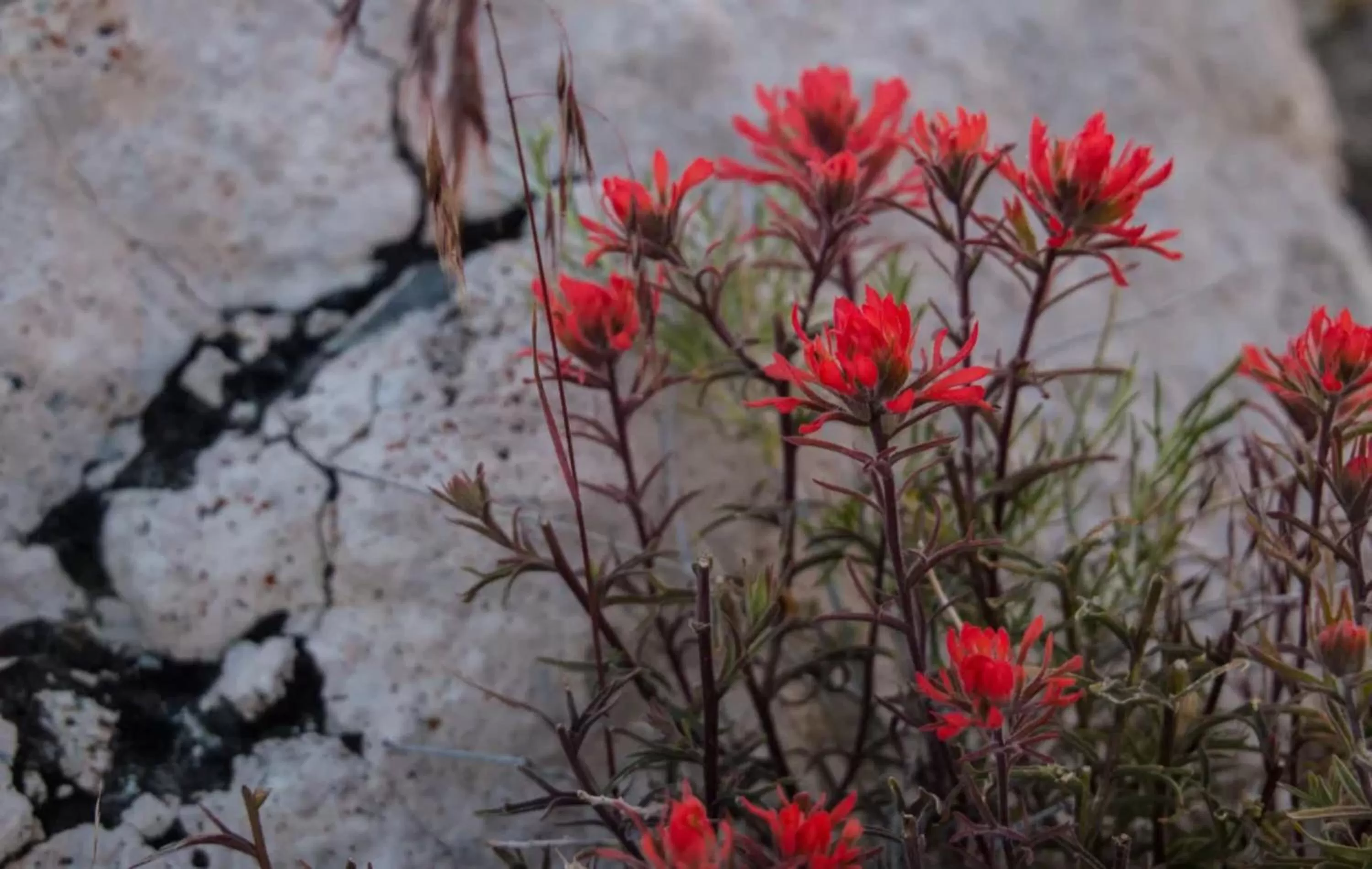 Natural landscape in Empeiria High Sierra Hotel