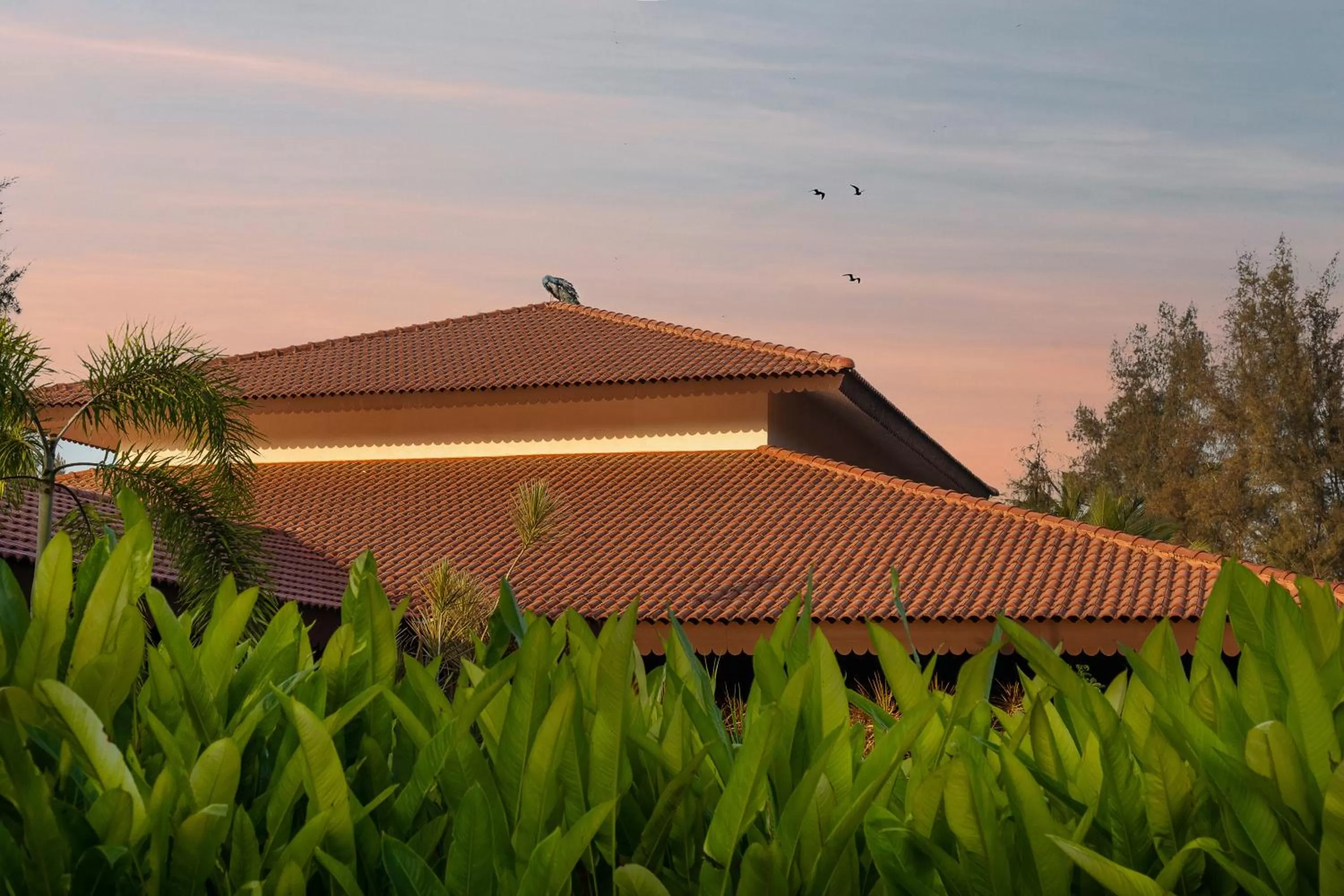 Property Building in Gamyam Beach Resort