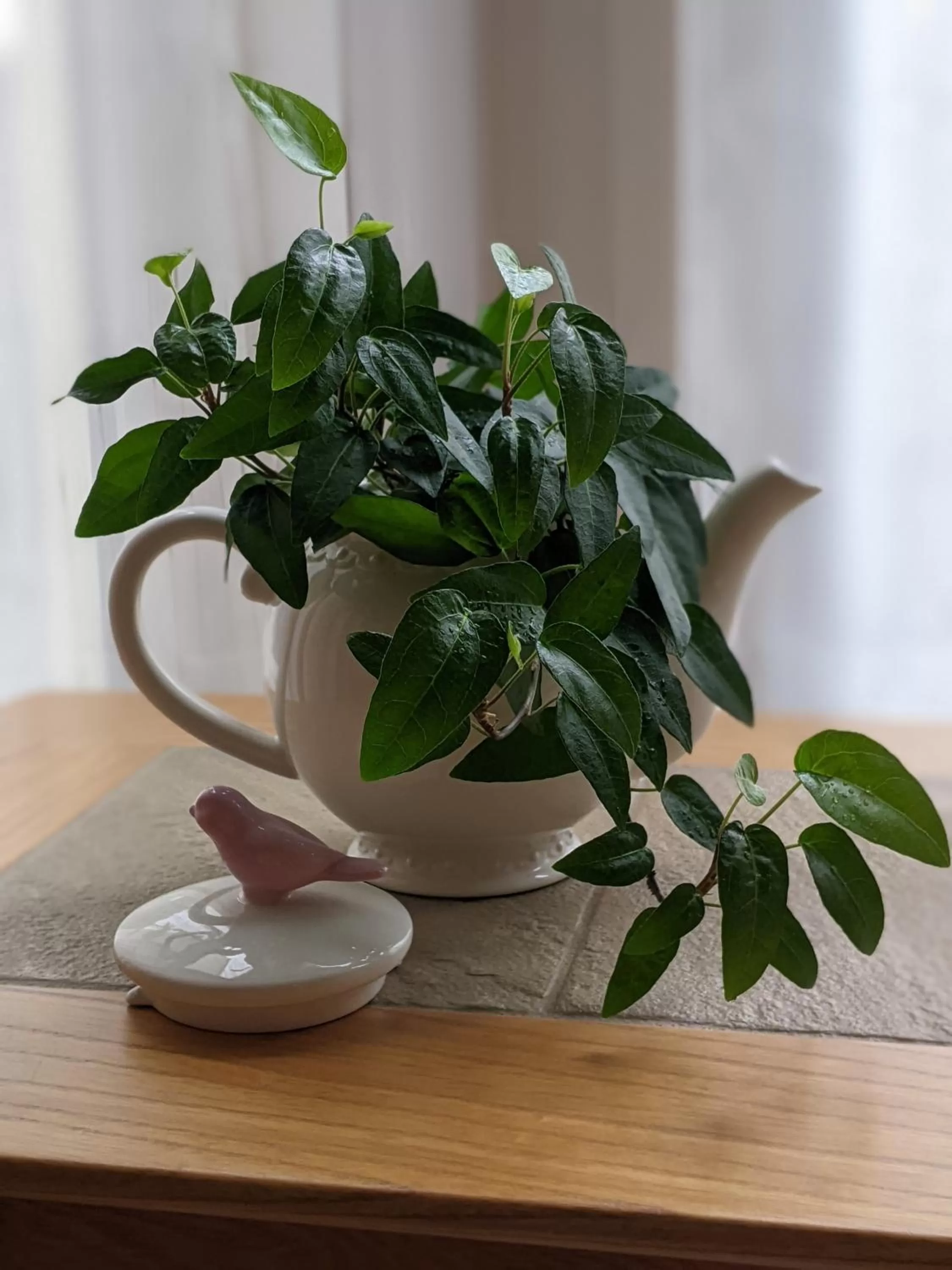 Other in Abingdon House