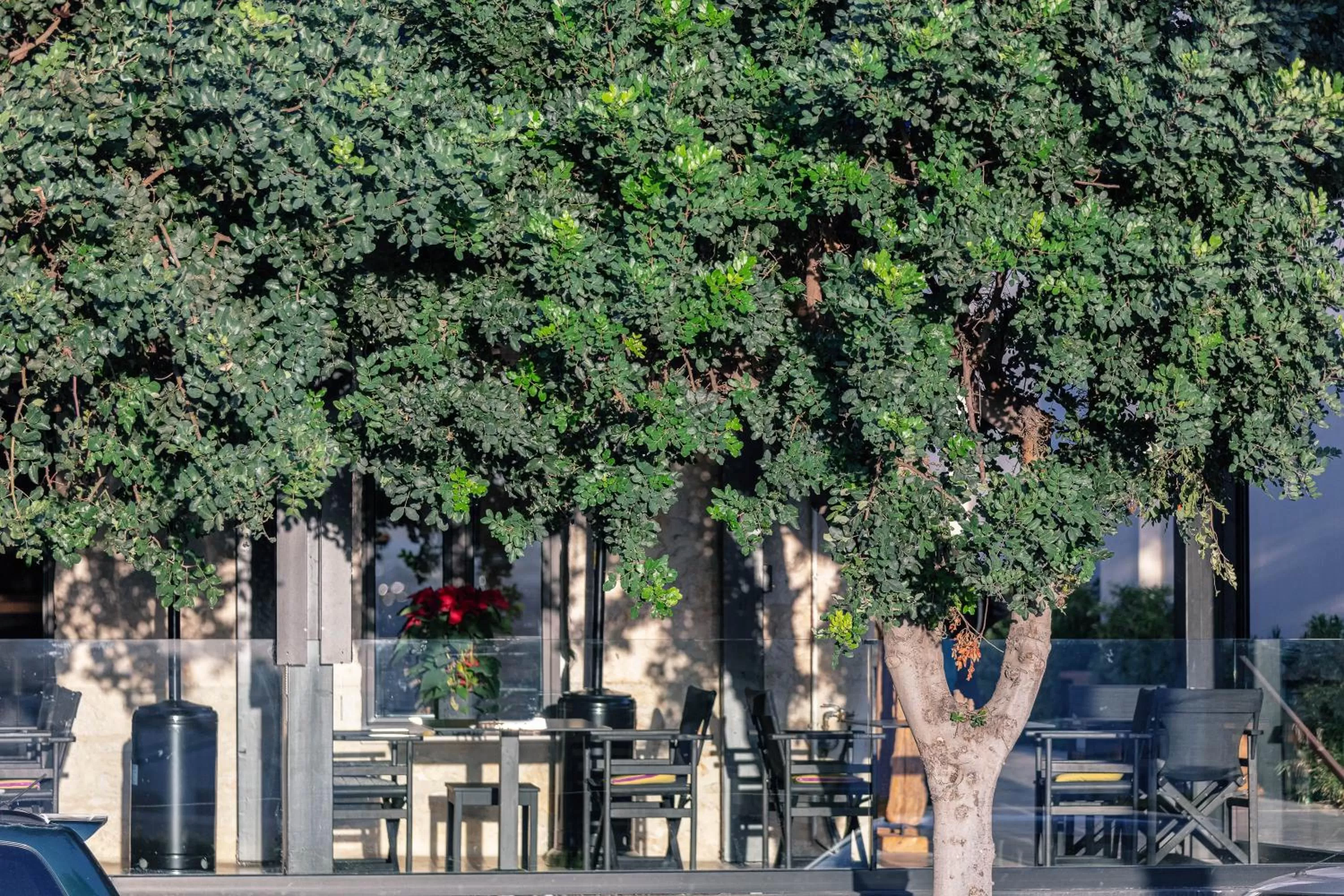 Restaurant/places to eat in Chapter 02 Gallery Suites