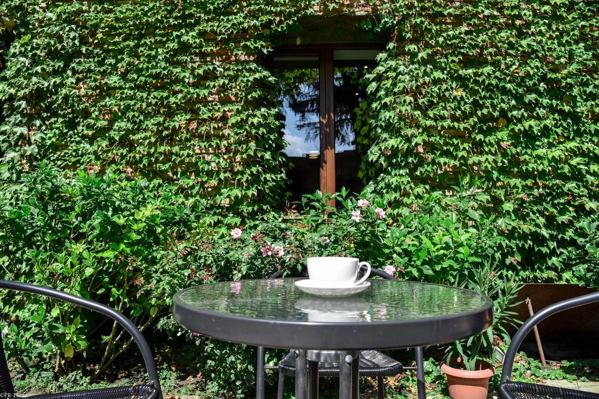 Garden in Tiflis Hotel