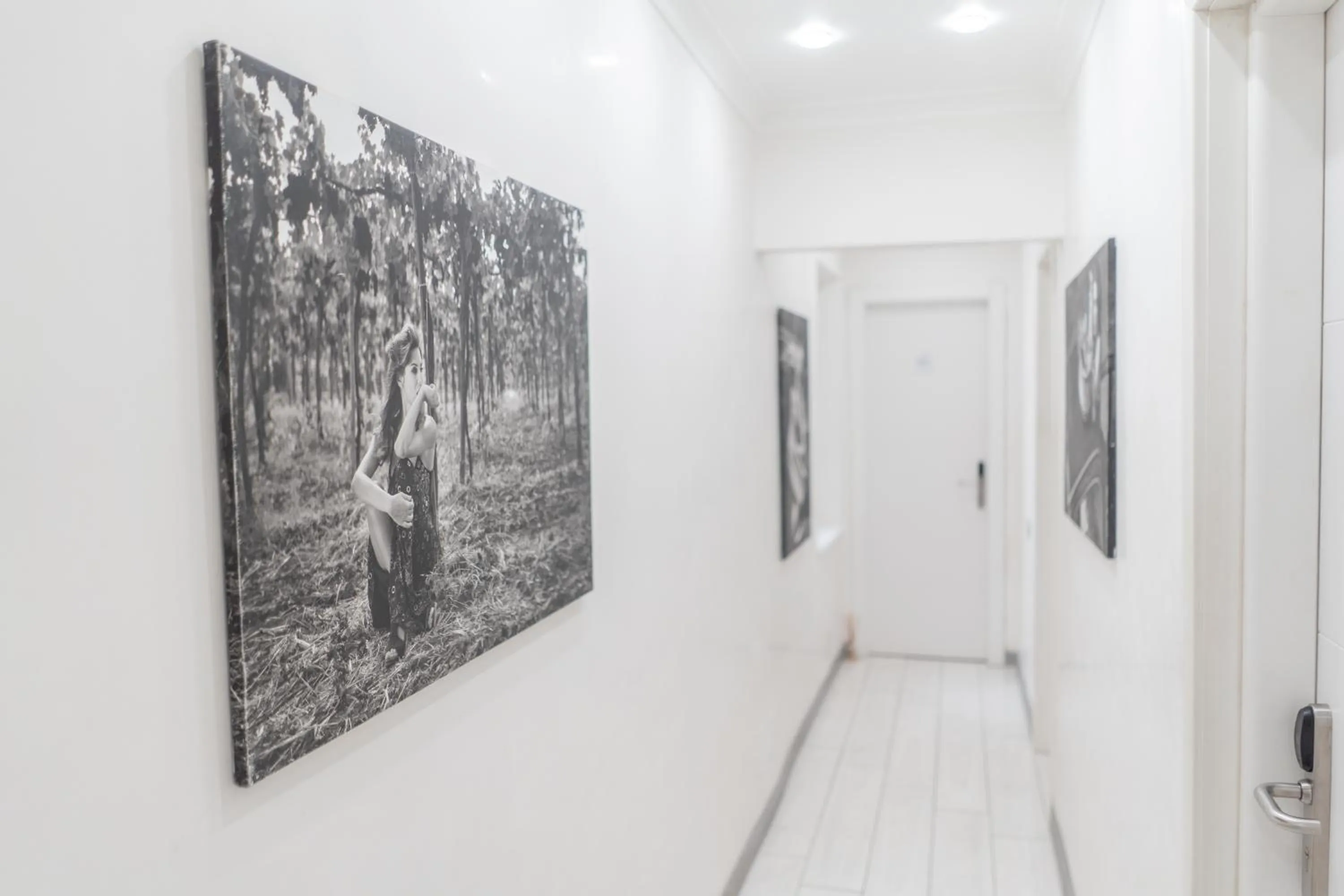 Decorative detail in iRooms - Spanish Steps