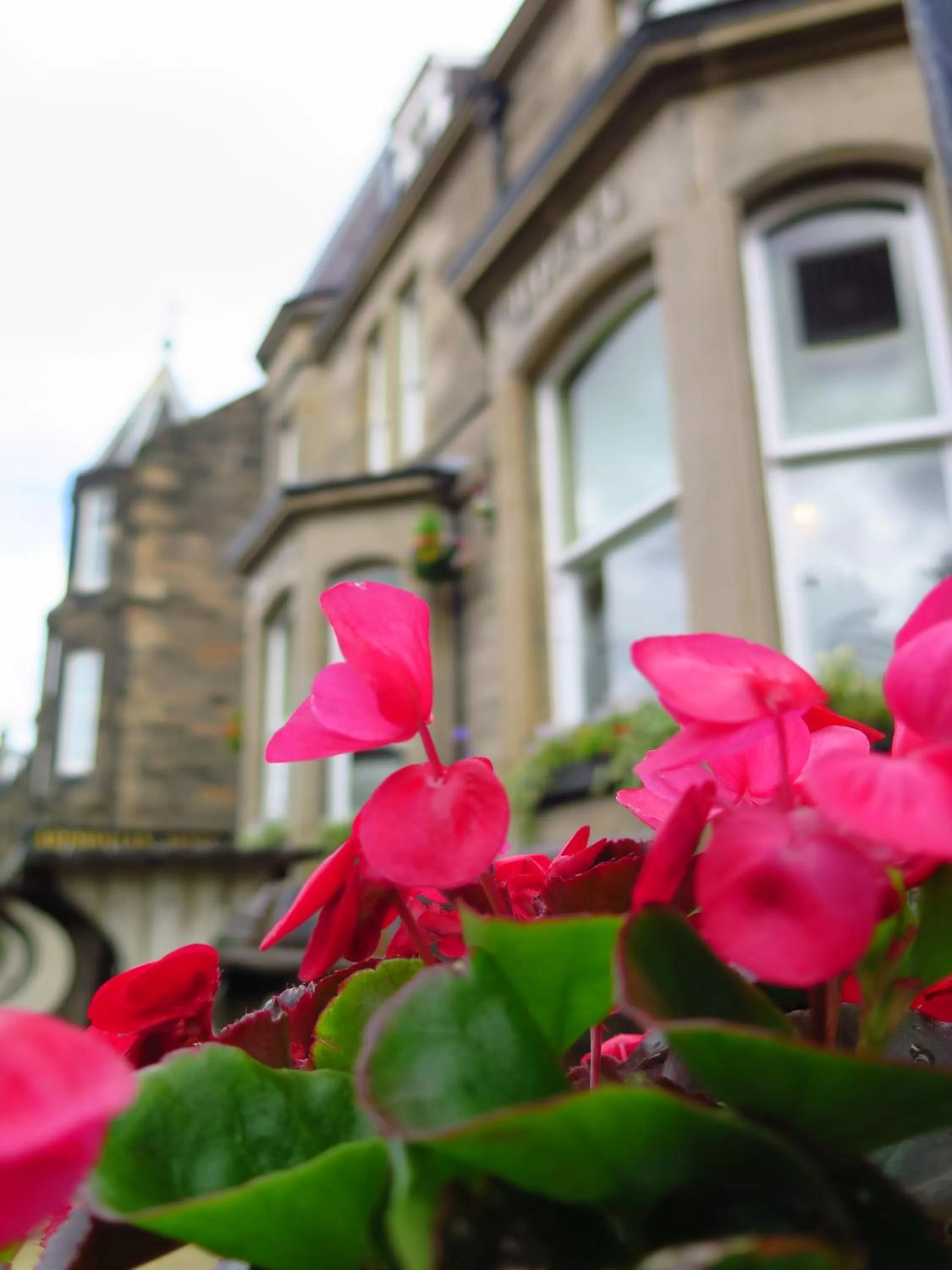 Day in Ardmillan Hotel