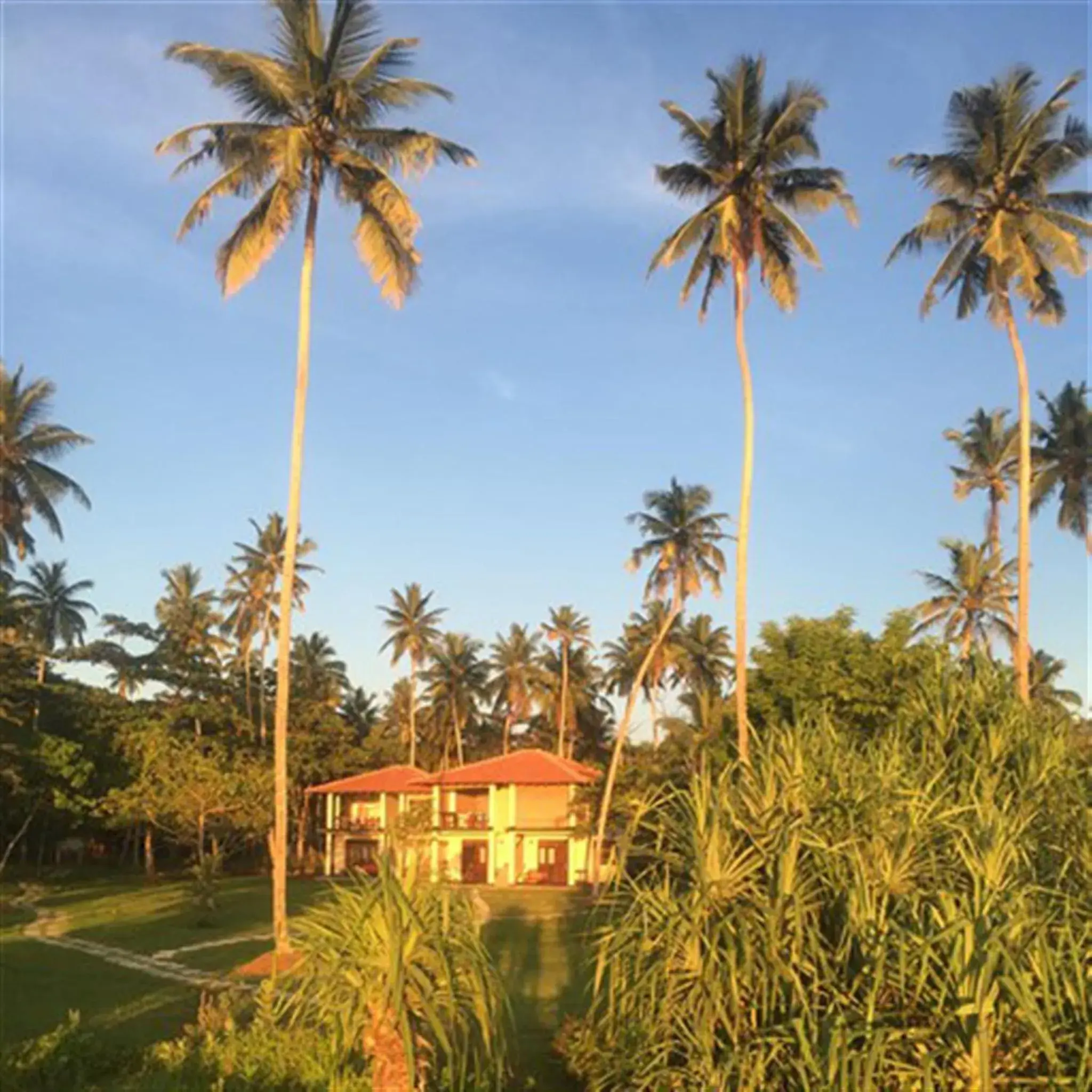 Double Room with Sea View - single occupancy in Talalla Retreat Double Room with Sea View - single occupancy in Talalla Retreat