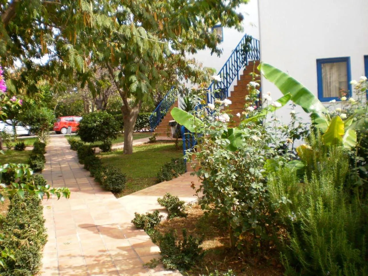 Garden in Hotel Oasis