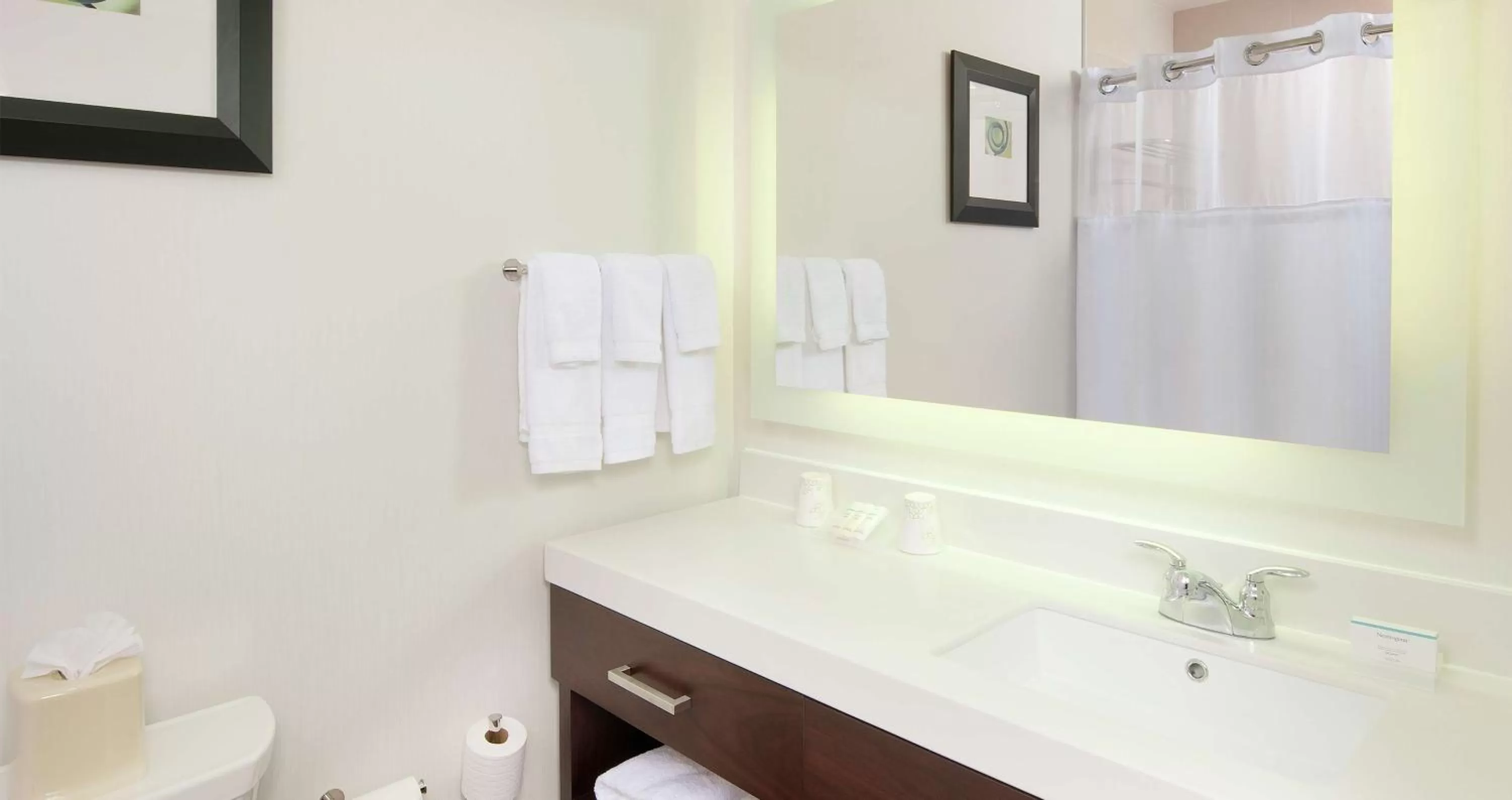 Bathroom in Hilton Garden Inn Pittsburgh Downtown