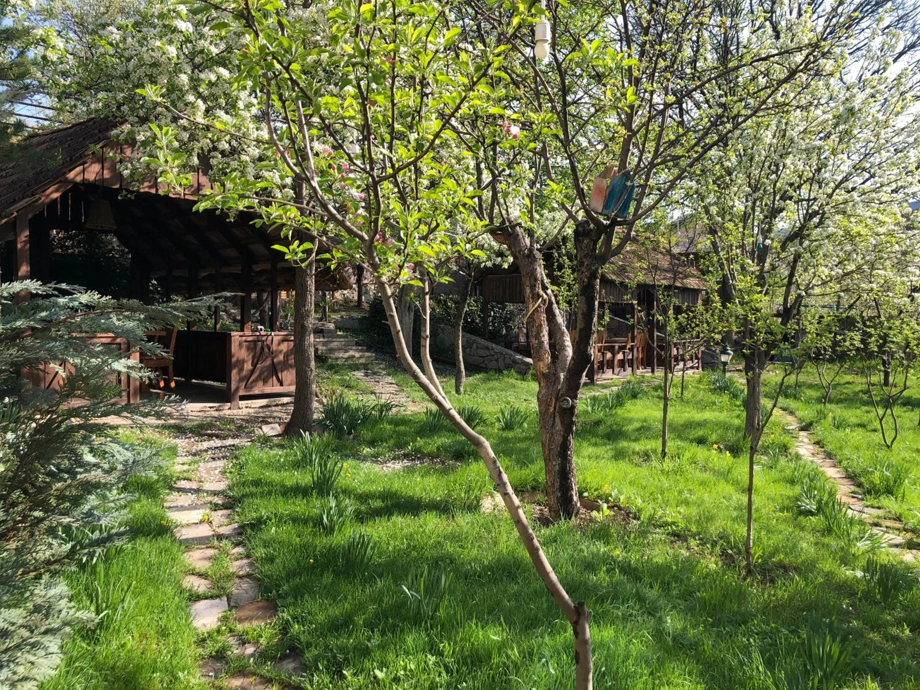 Garden in Dil Hill by Sam