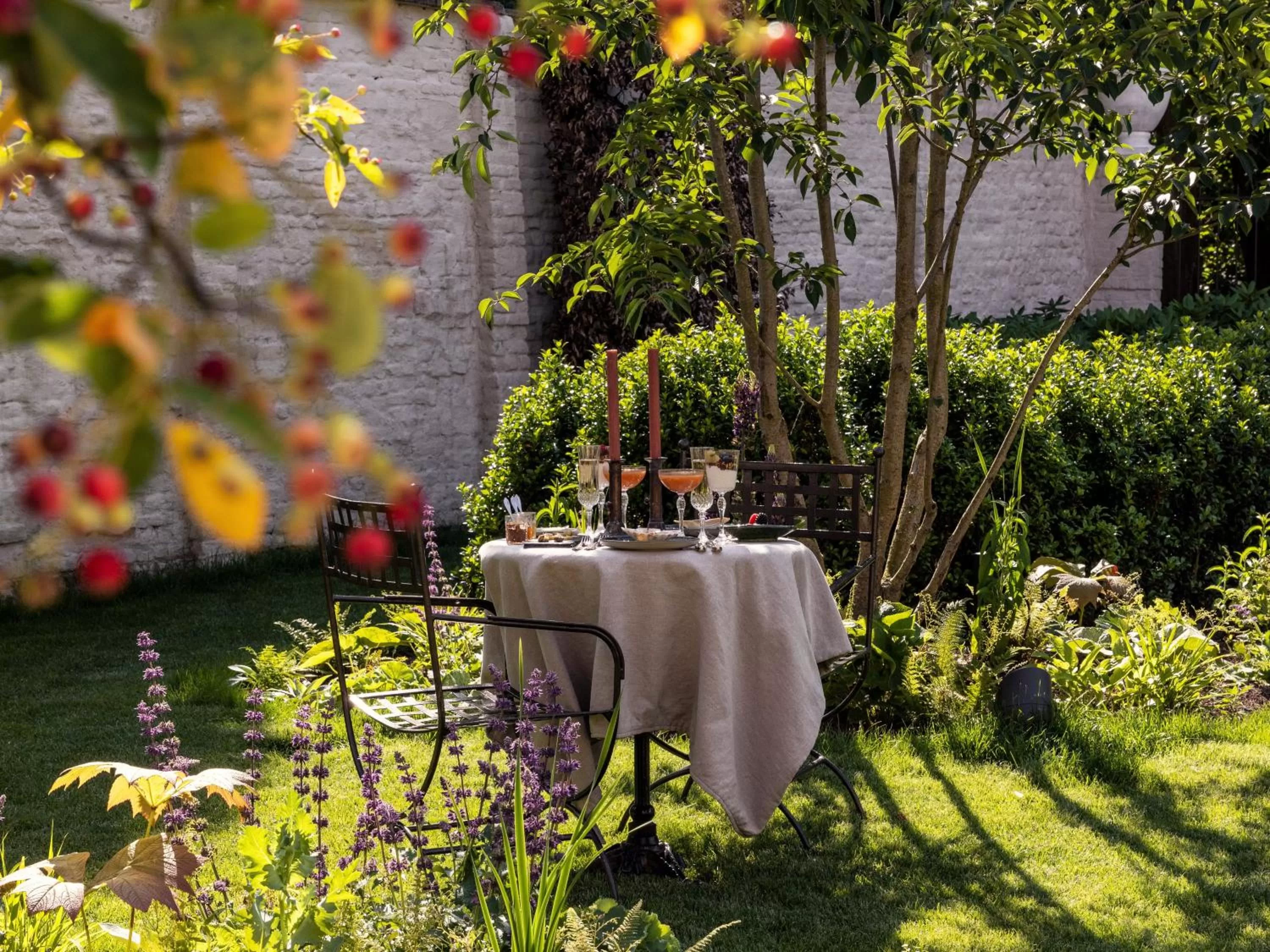 Garden in The Notary