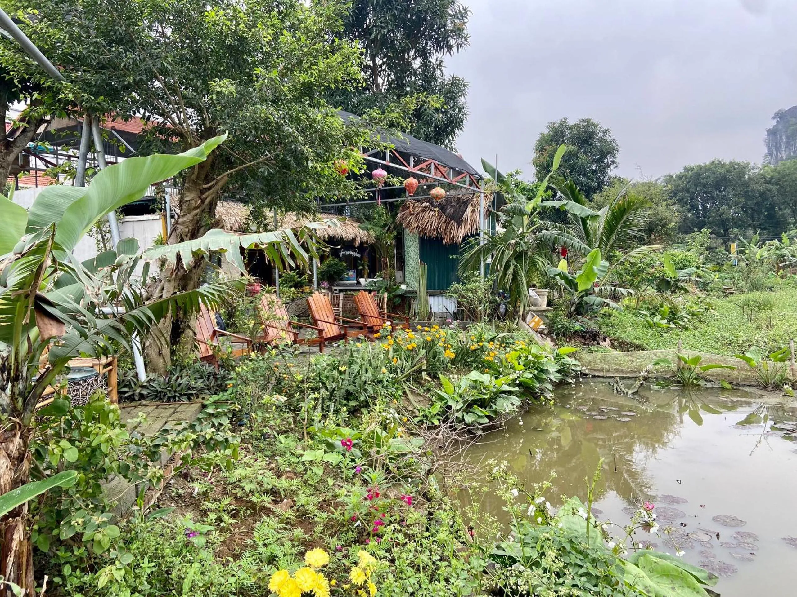Garden in Tam Coc Mountain View Homestay