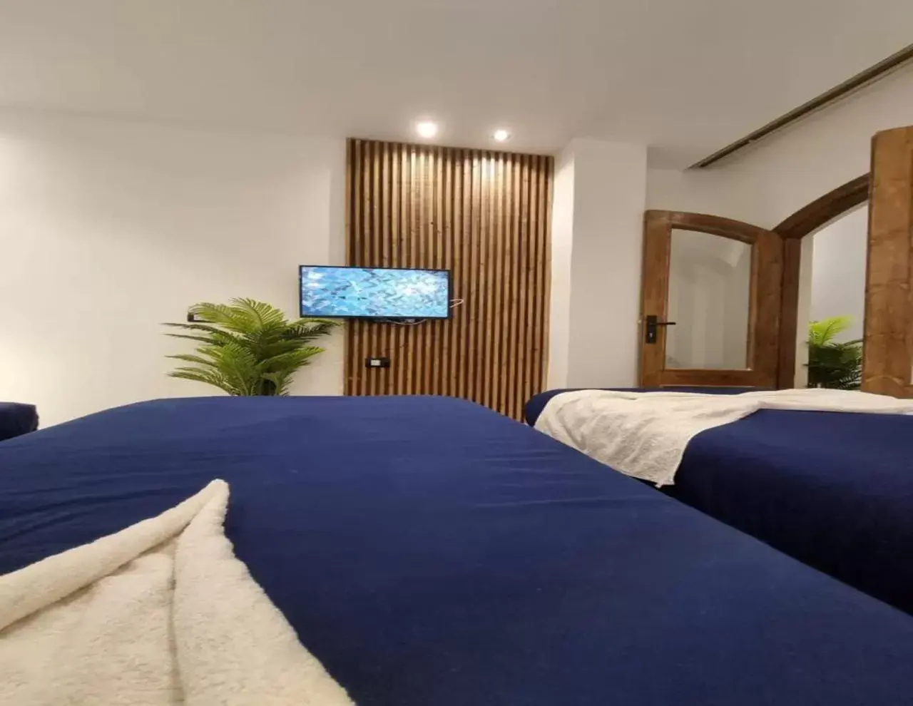 Superior Double Room Side View - single occupancy in Penguin Village Dahab Superior Double Room Side View - single occupancy in Penguin Village Dahab