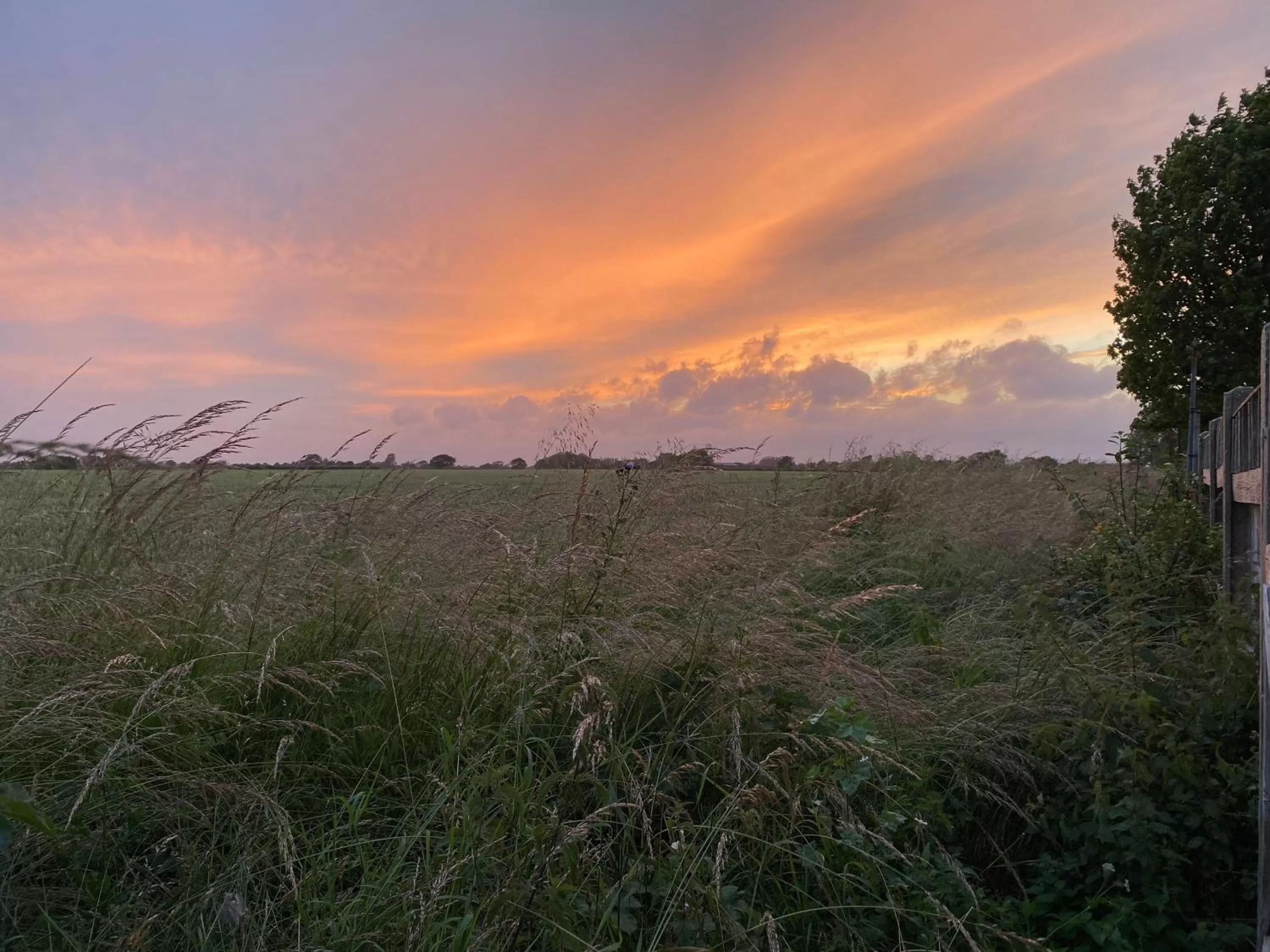 Natural landscape in Old Chapel Forge