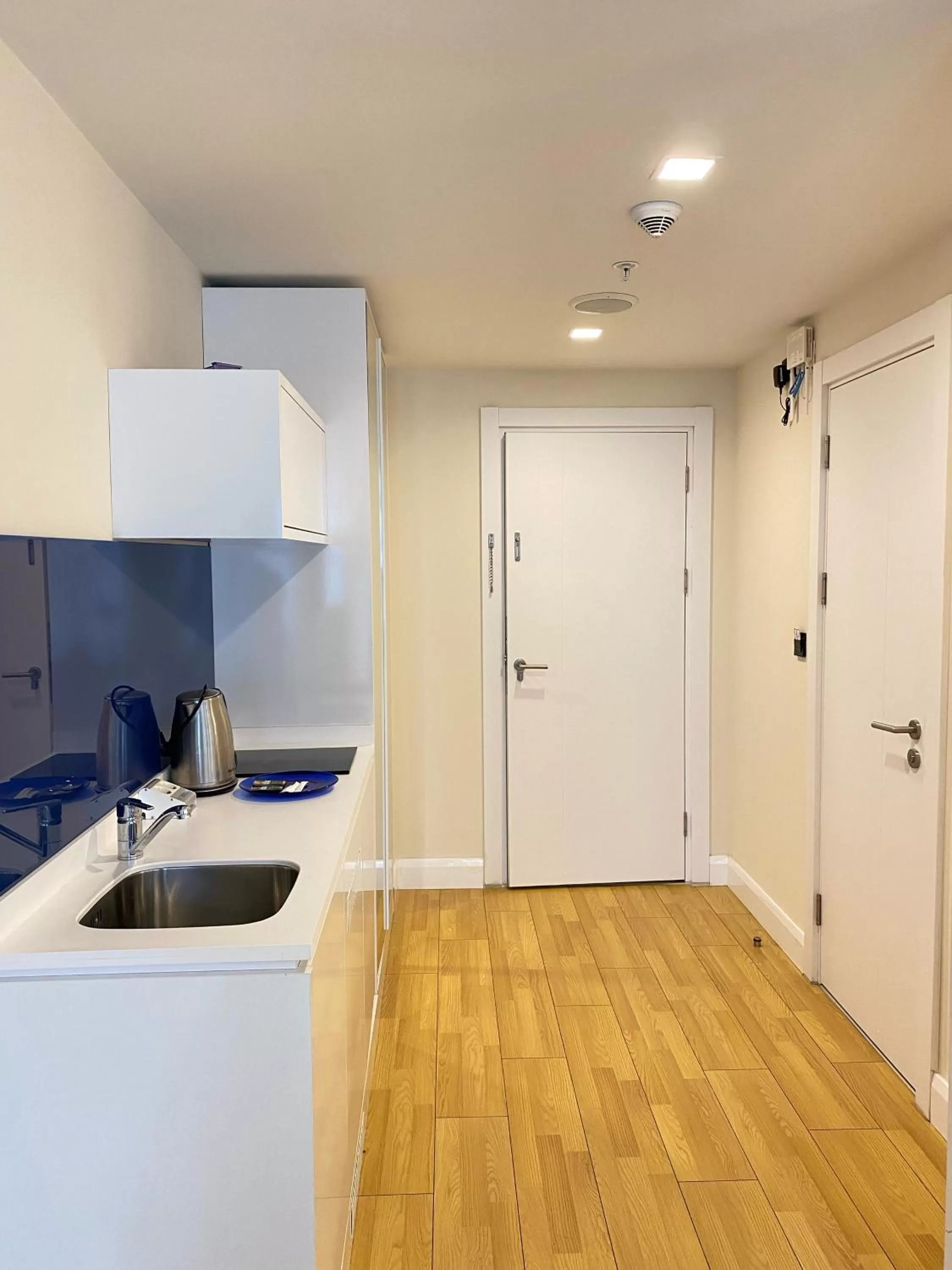 Kitchen or kitchenette, Kitchen/Kitchenette in APARTHOTEL in City Batumi