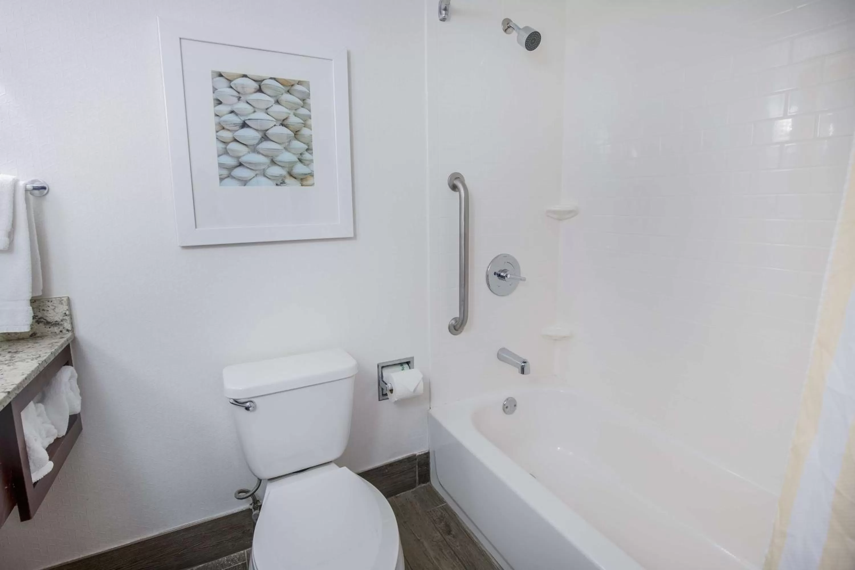 Bathroom in Hilton Garden Inn Orange Beach