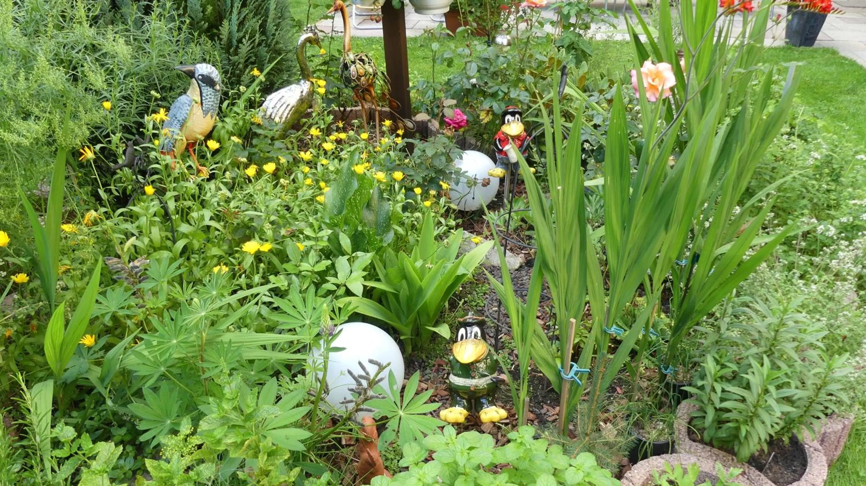 Other Animals in Hotel Sonnleitn