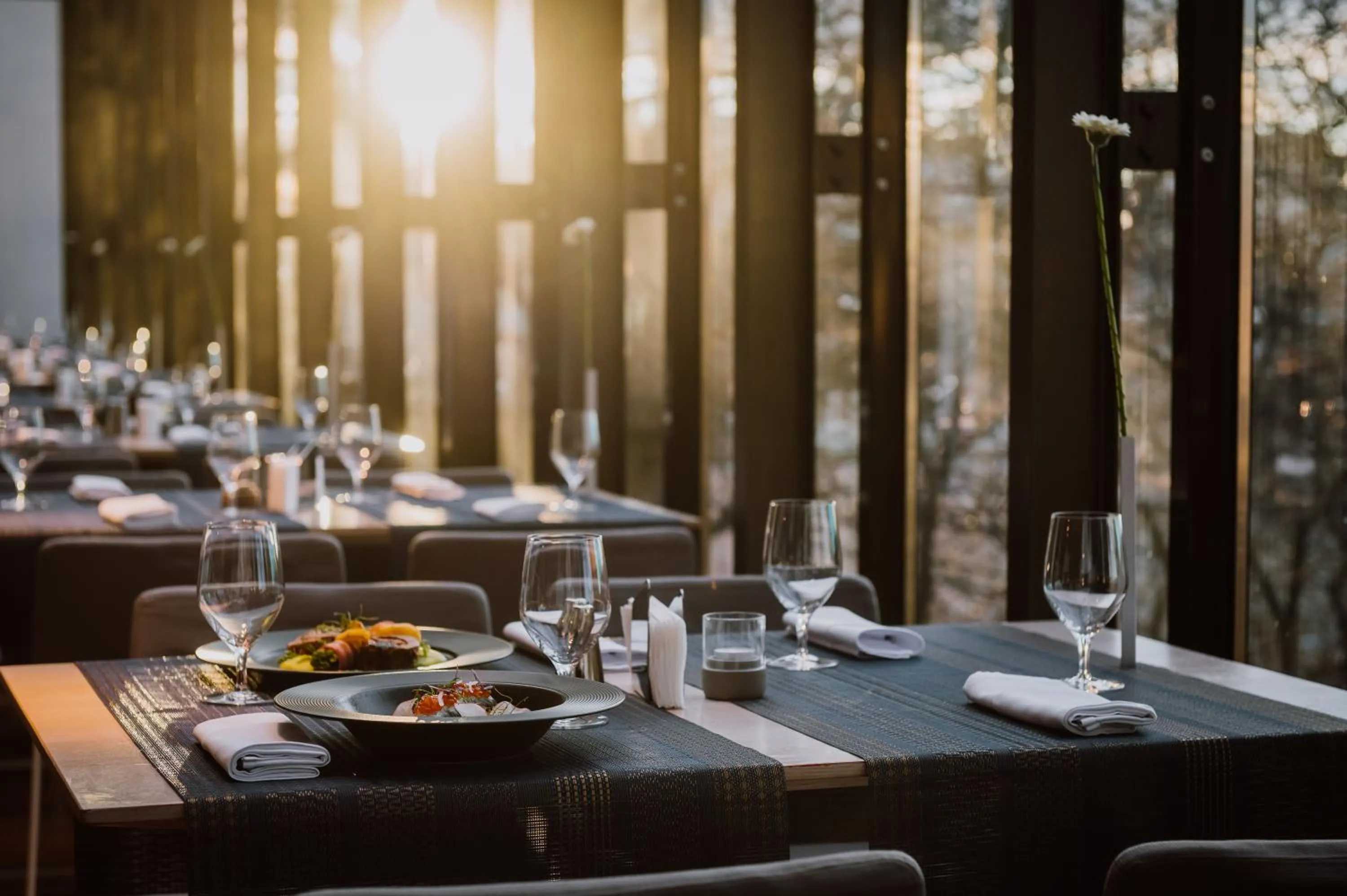 Restaurant/places to eat in Hotel Privo