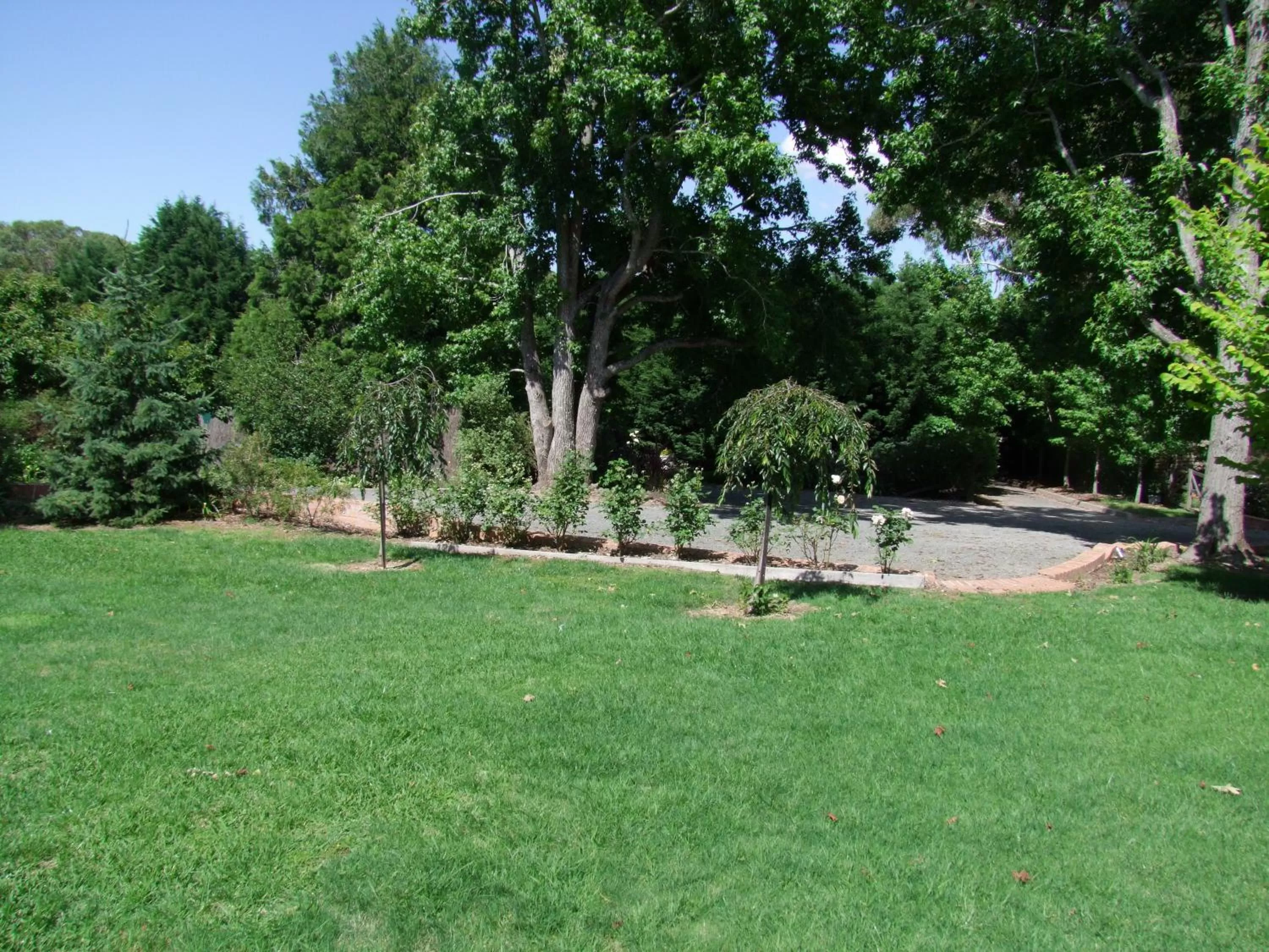 Garden in Bundanoon Lodge