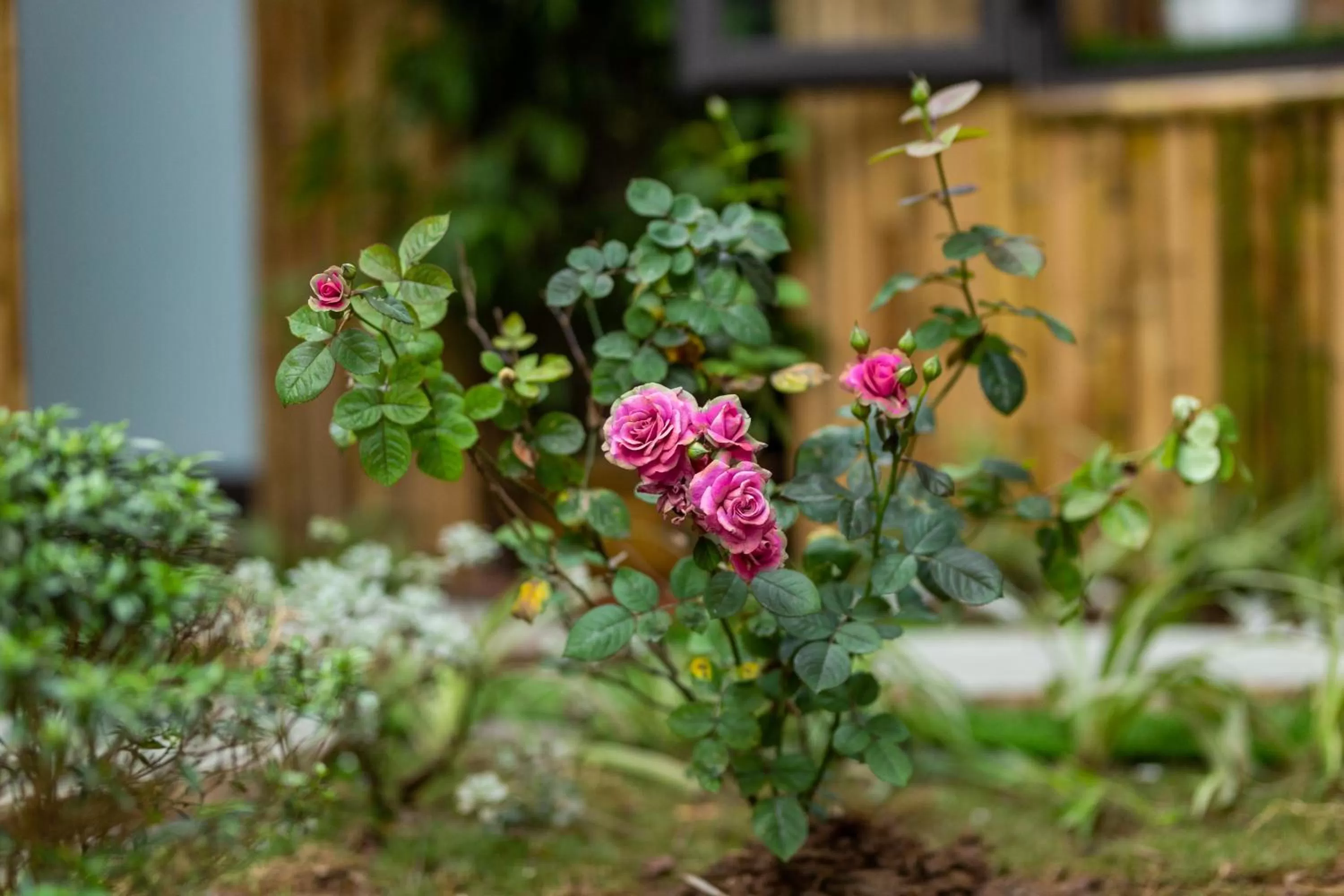 Property building, Garden in Trang An Moon Garden Homestay