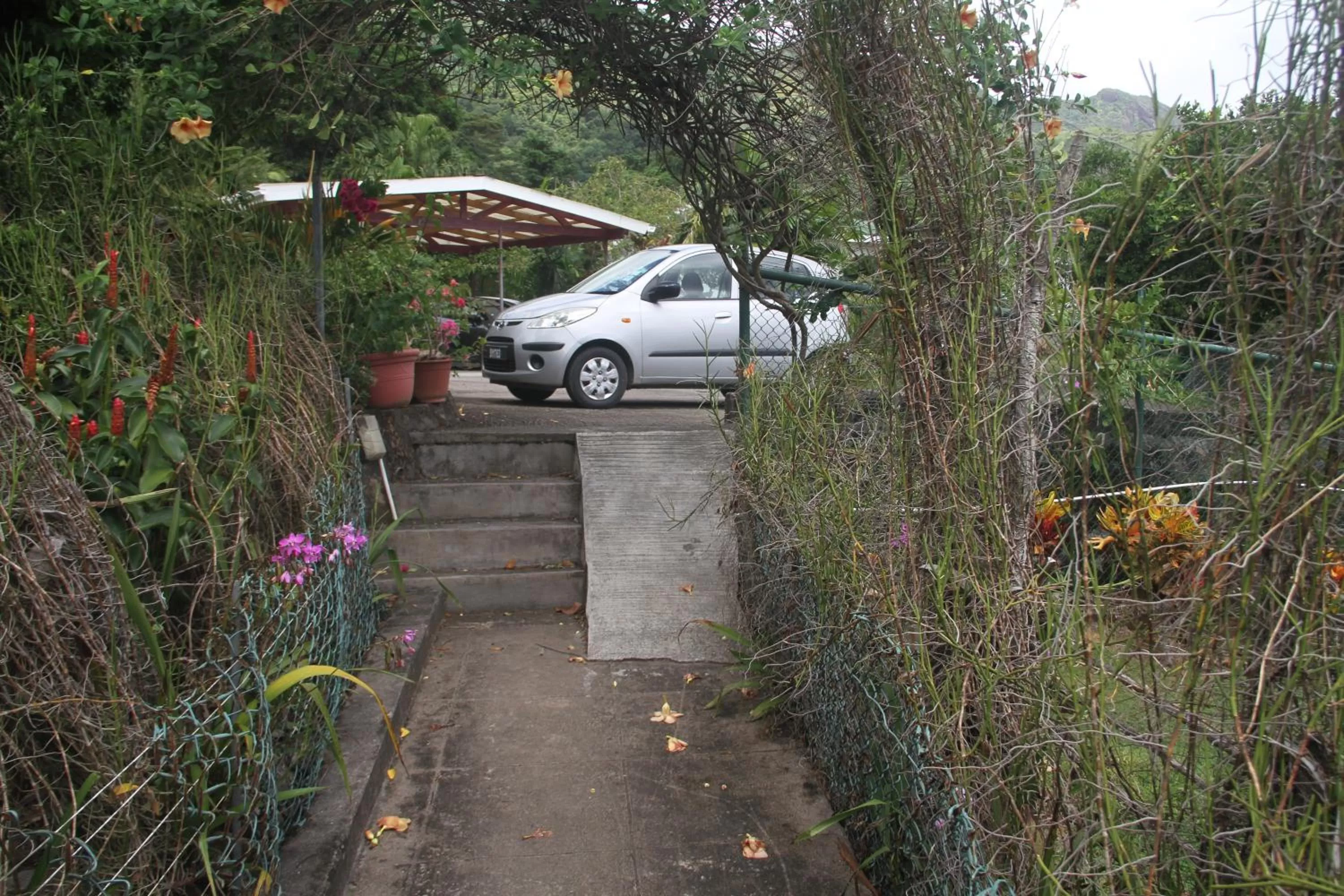 Garden in Daniella's Bungalows