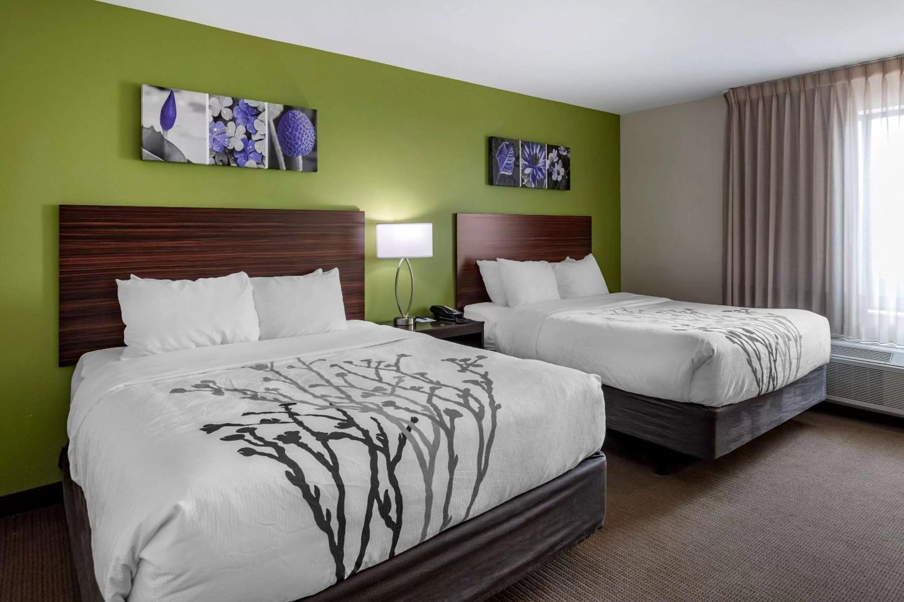 Photo of the whole room in Sleep Inn Bowling Green North