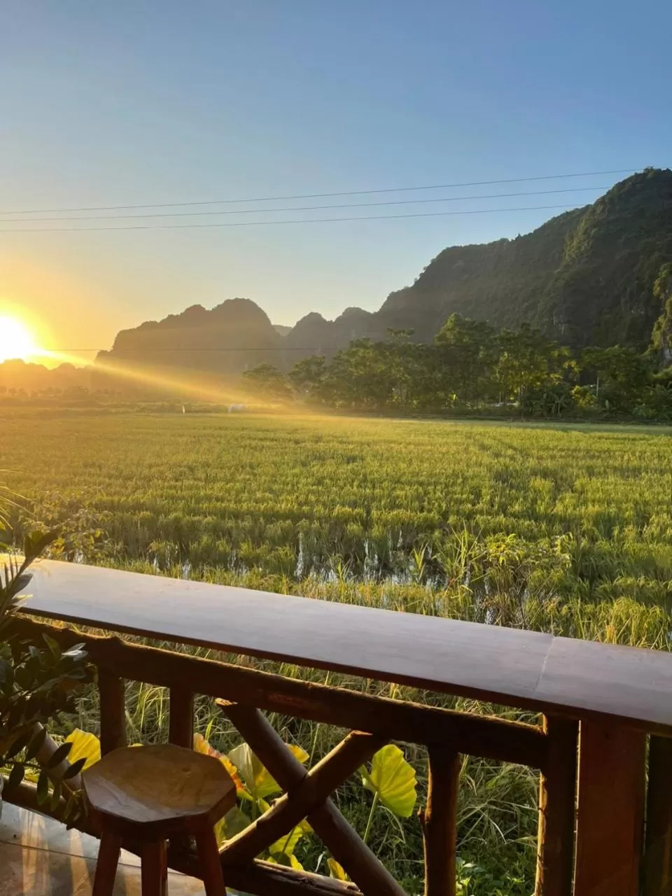 Natural landscape in Tam Coc Windy Fields