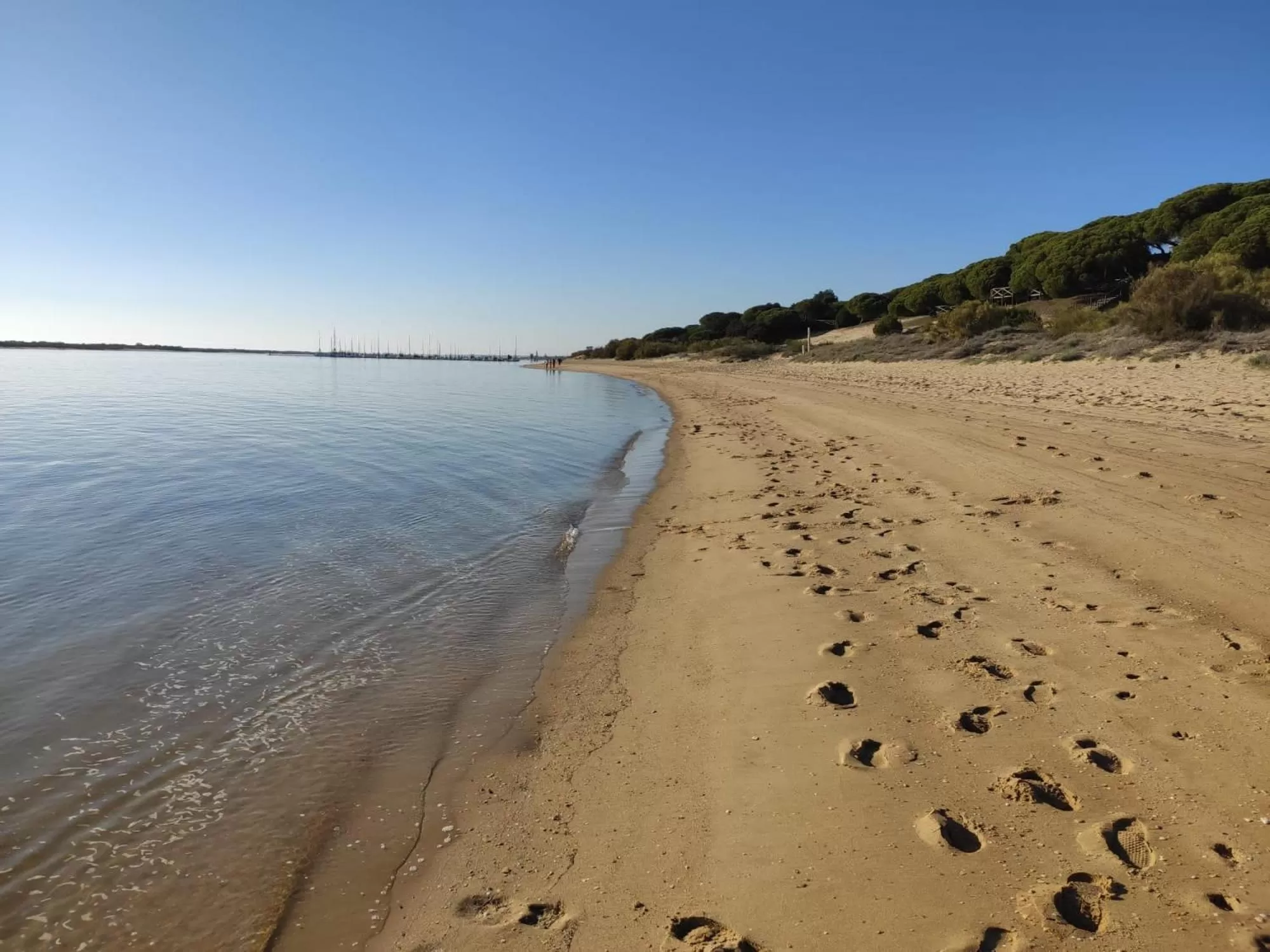 Natural landscape, Beach in La Casa del Torreón
