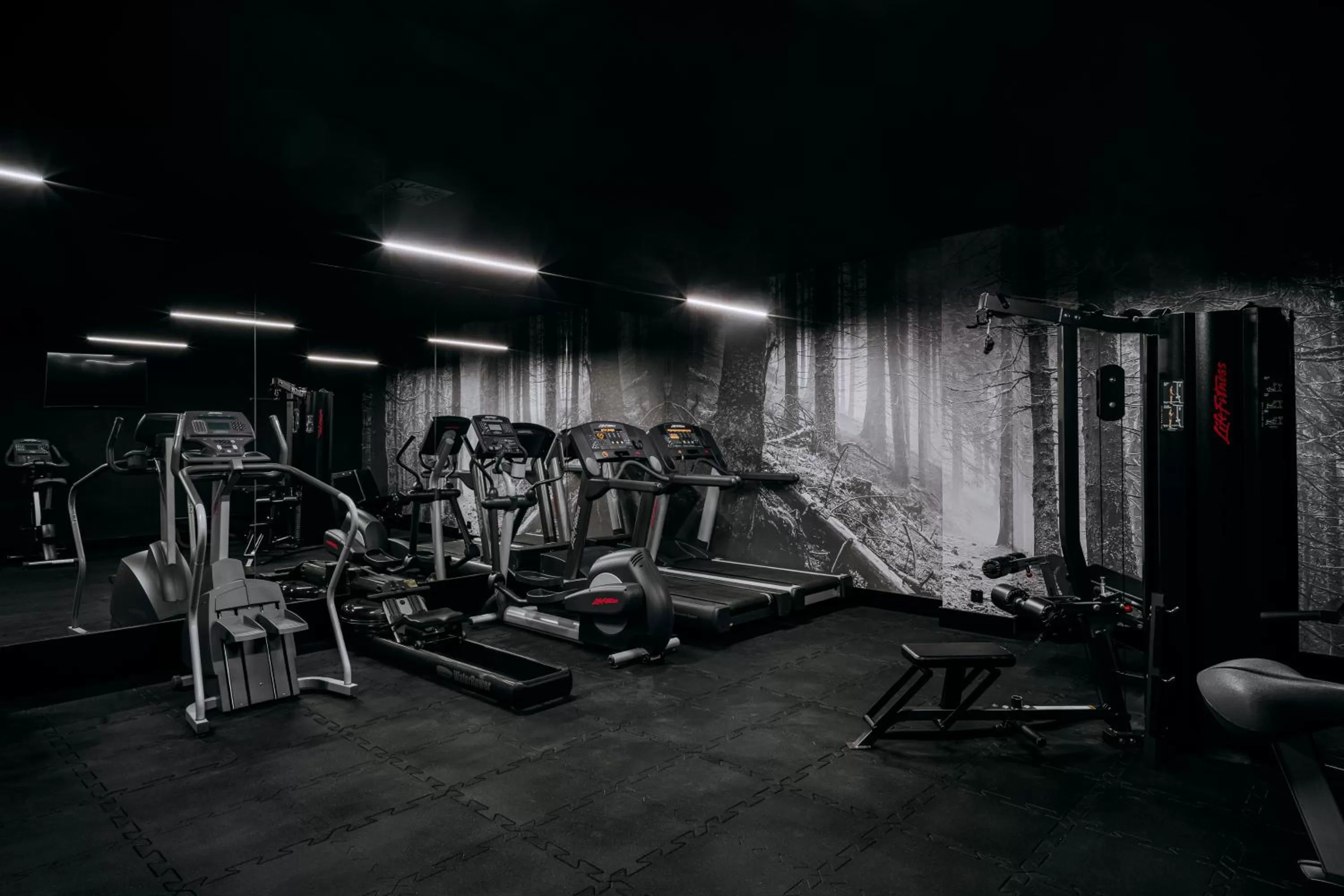 Fitness centre/facilities in Radisson Hotel Szklarska Poręba