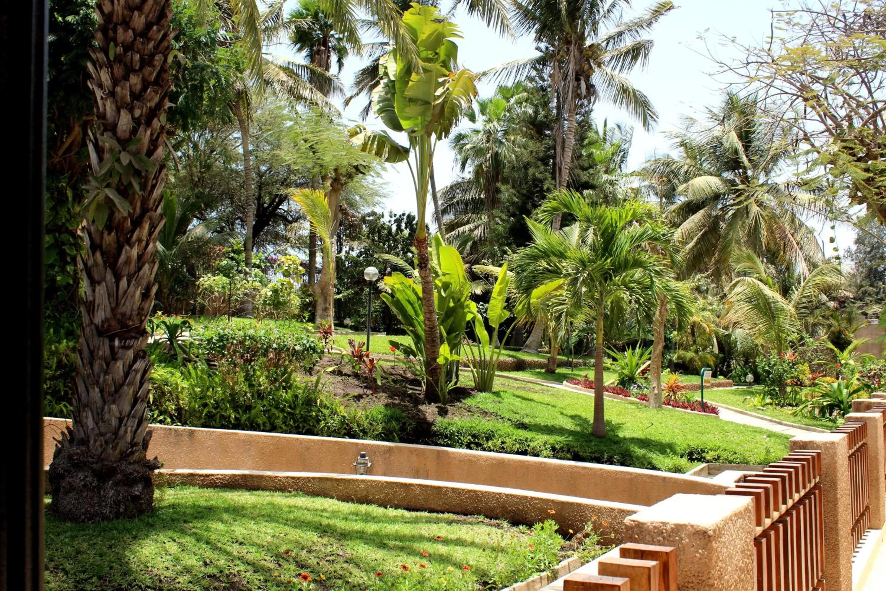 Garden in Hotel Jardin Savana Dakar