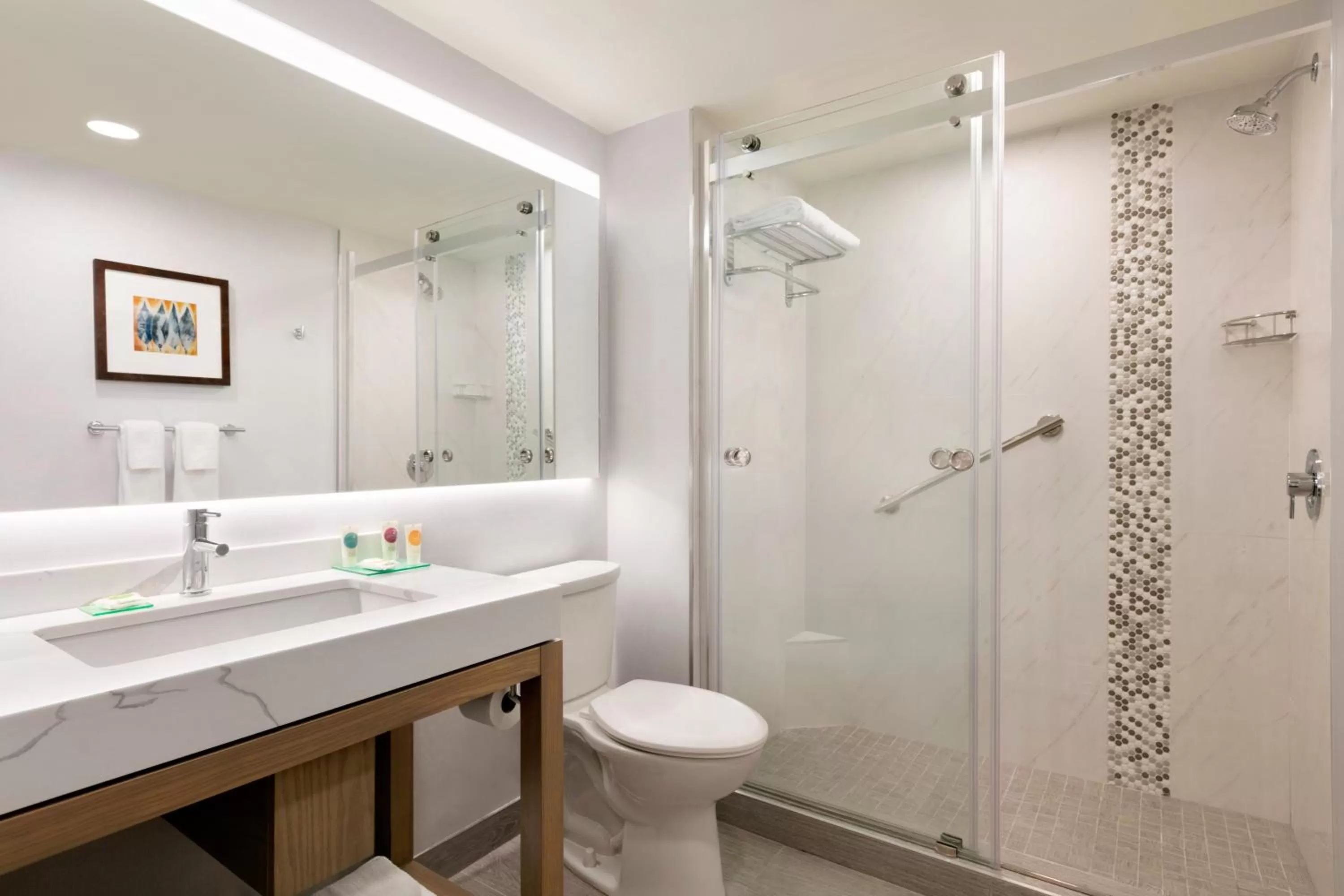 Bathroom in Hyatt Place Santa Barbara