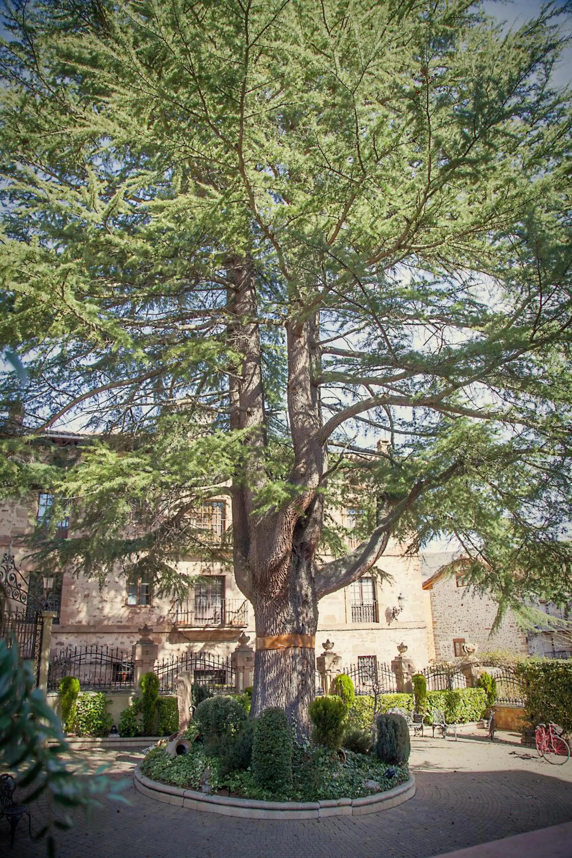 Garden view in Palacio Azcárate Hotel