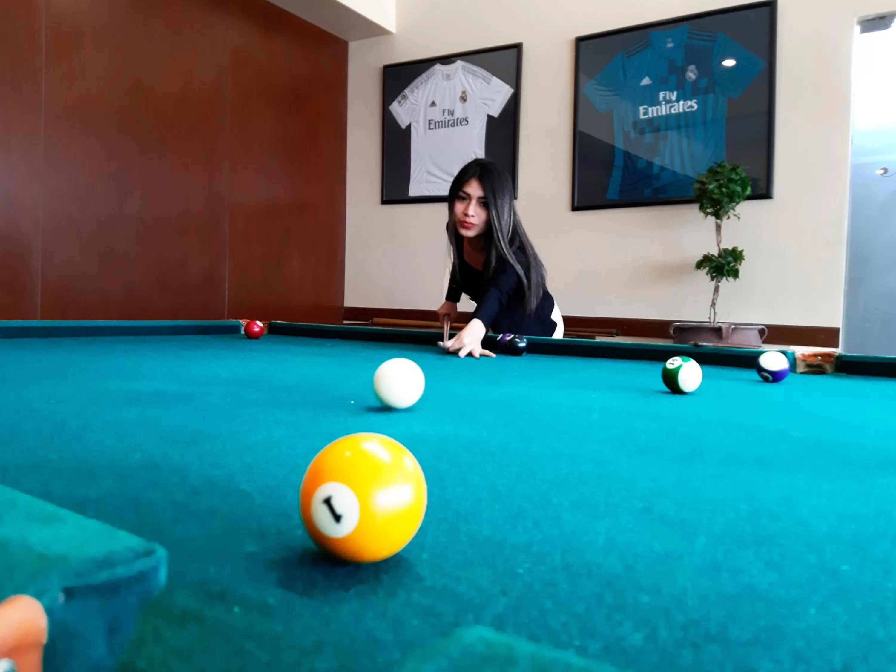 Billiard, Billiards in Hotel Madrid