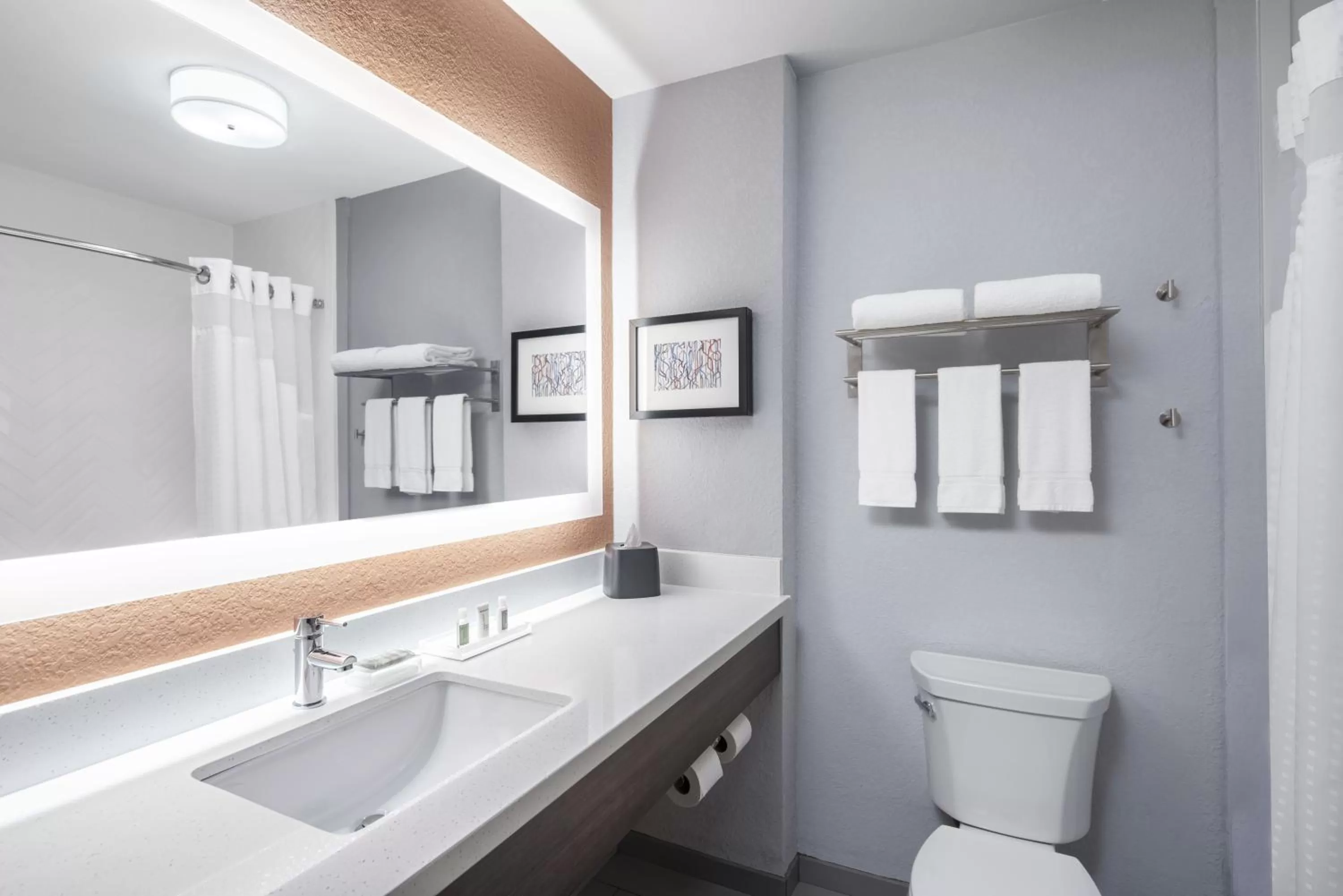 Bathroom in Holiday Inn Odessa by IHG